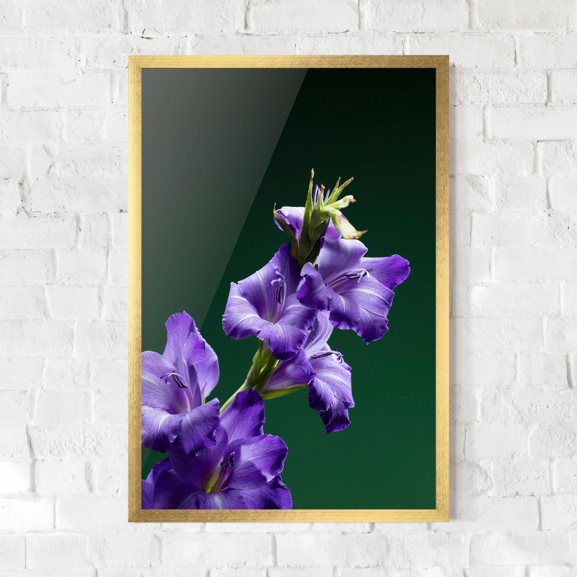 Keretezett Poszter Iris On Green mockup 0