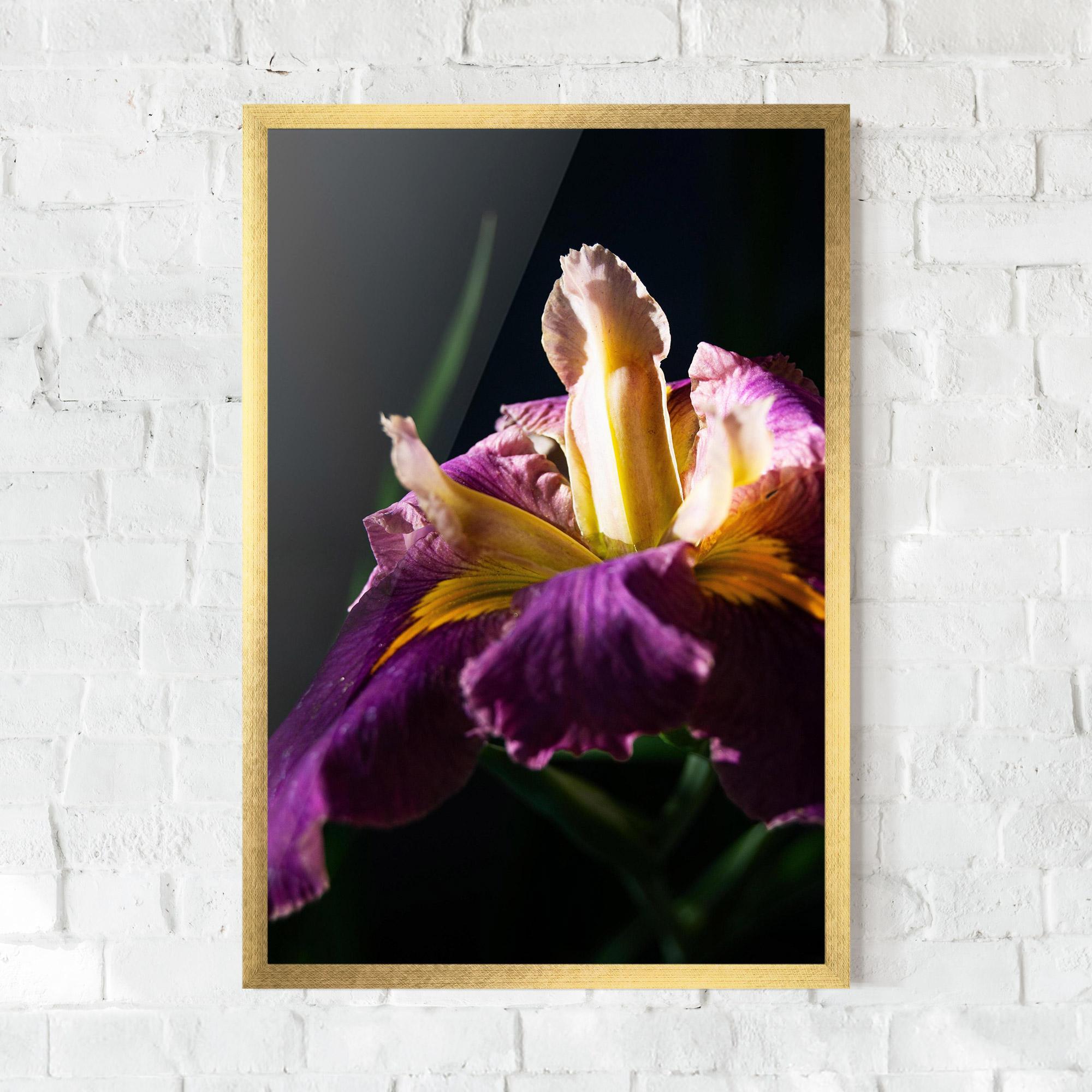 Keretezett Poszter Pastel Yellow Iris mockup 0