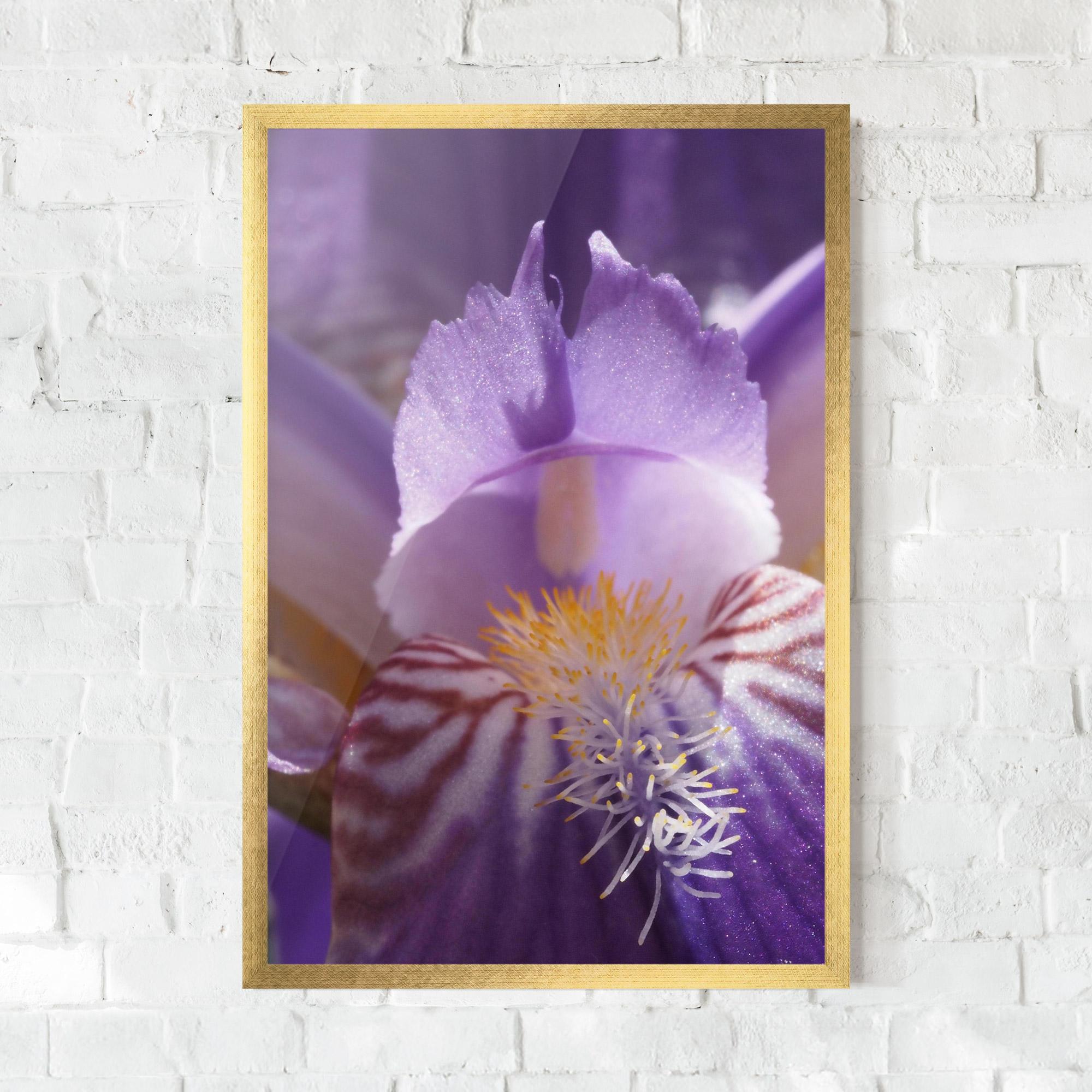 Keretezett Poszter Purple Iris Close Up mockup 0