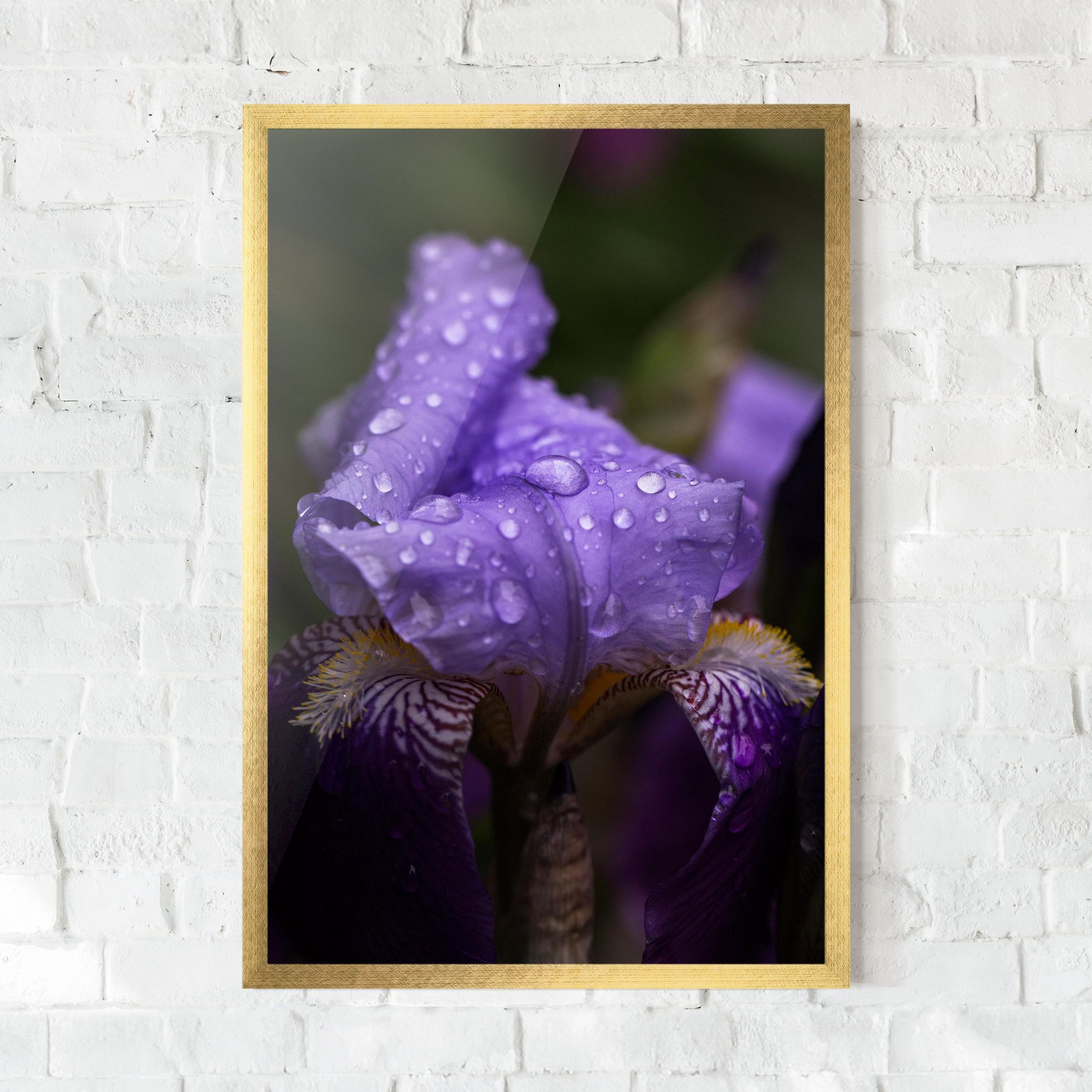 Rain In The Garden mockup 0