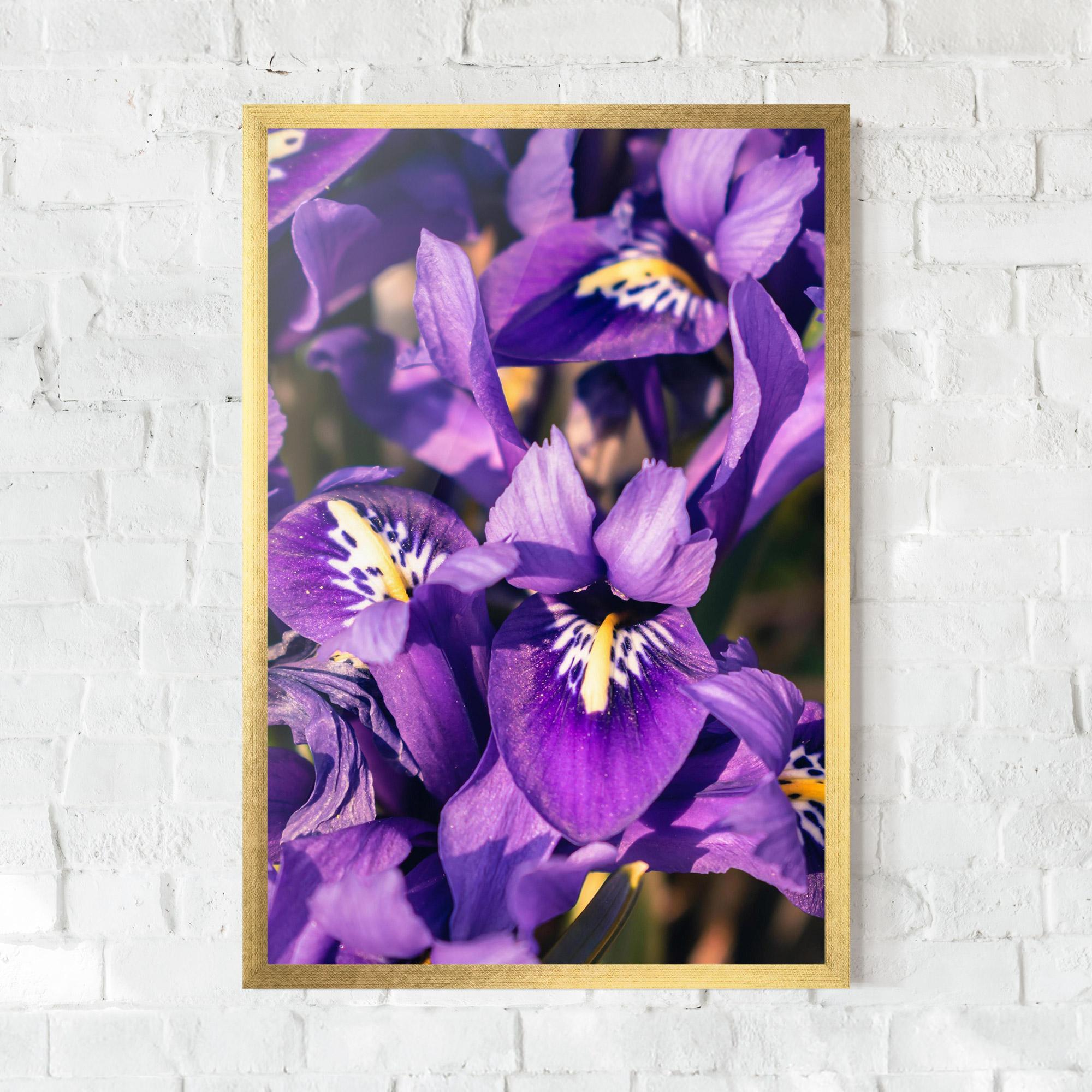 Keretezett Poszter Small Purple Iris mockup 0
