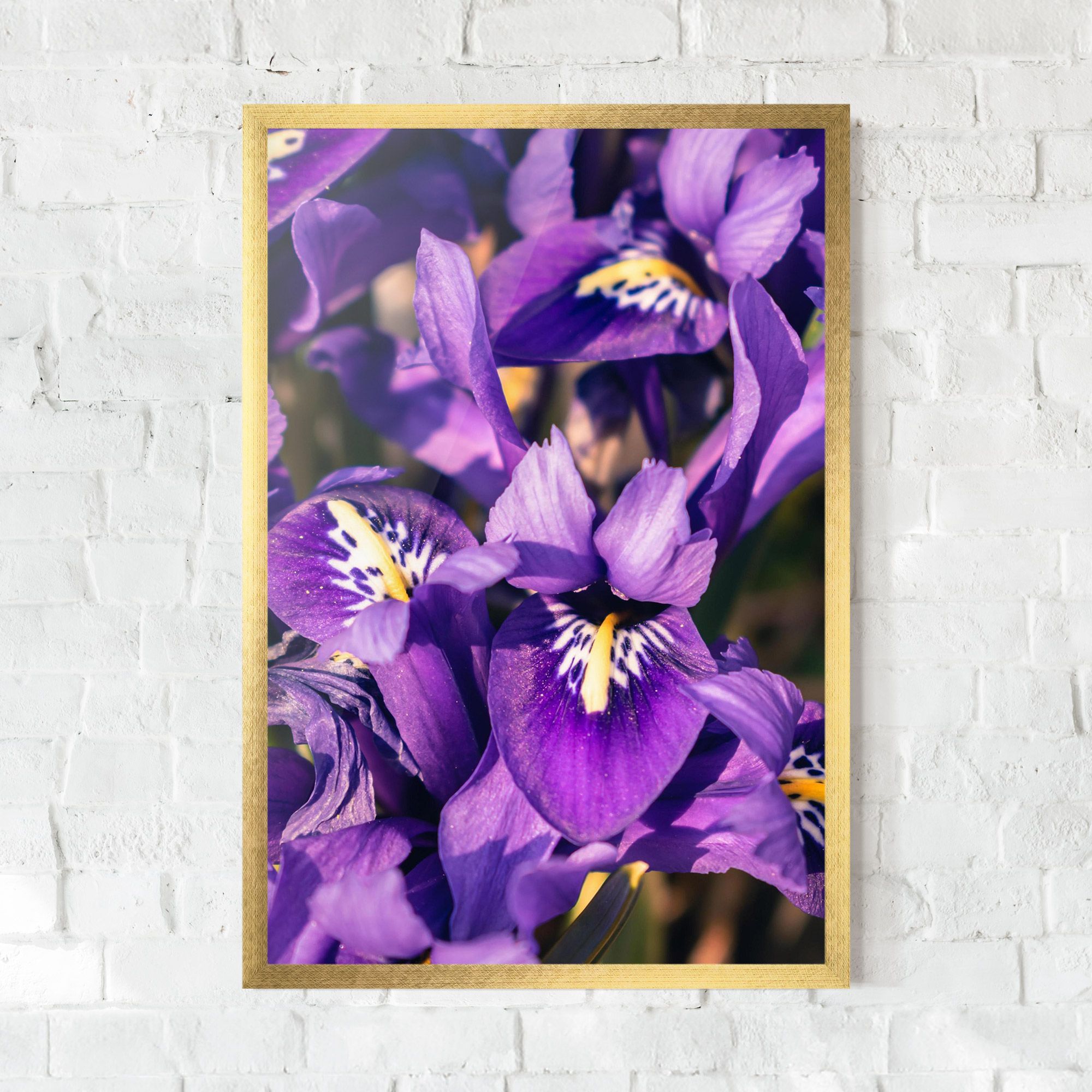 Small Purple Iris mockup 0