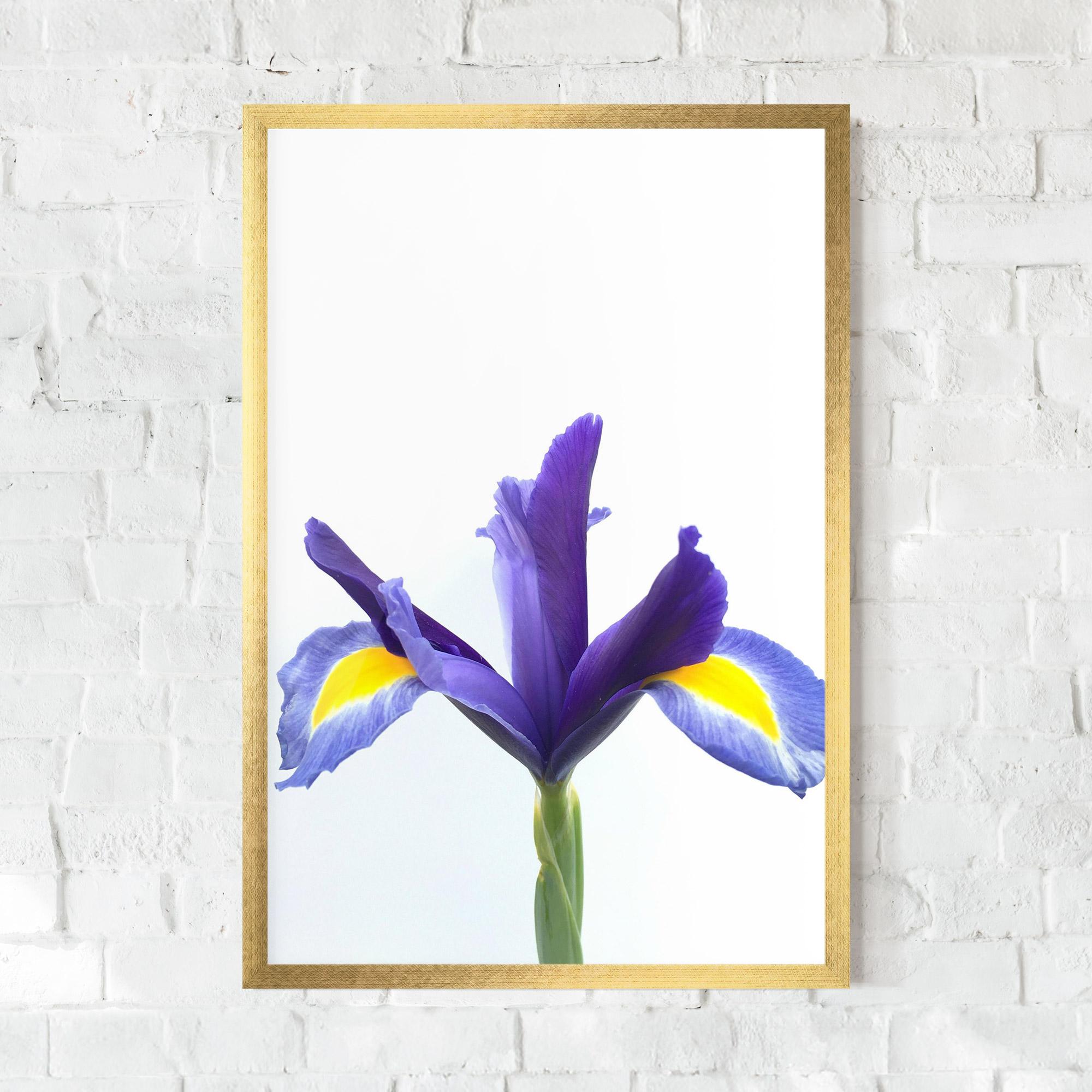 Keretezett Poszter Yellow Color Iris mockup 0