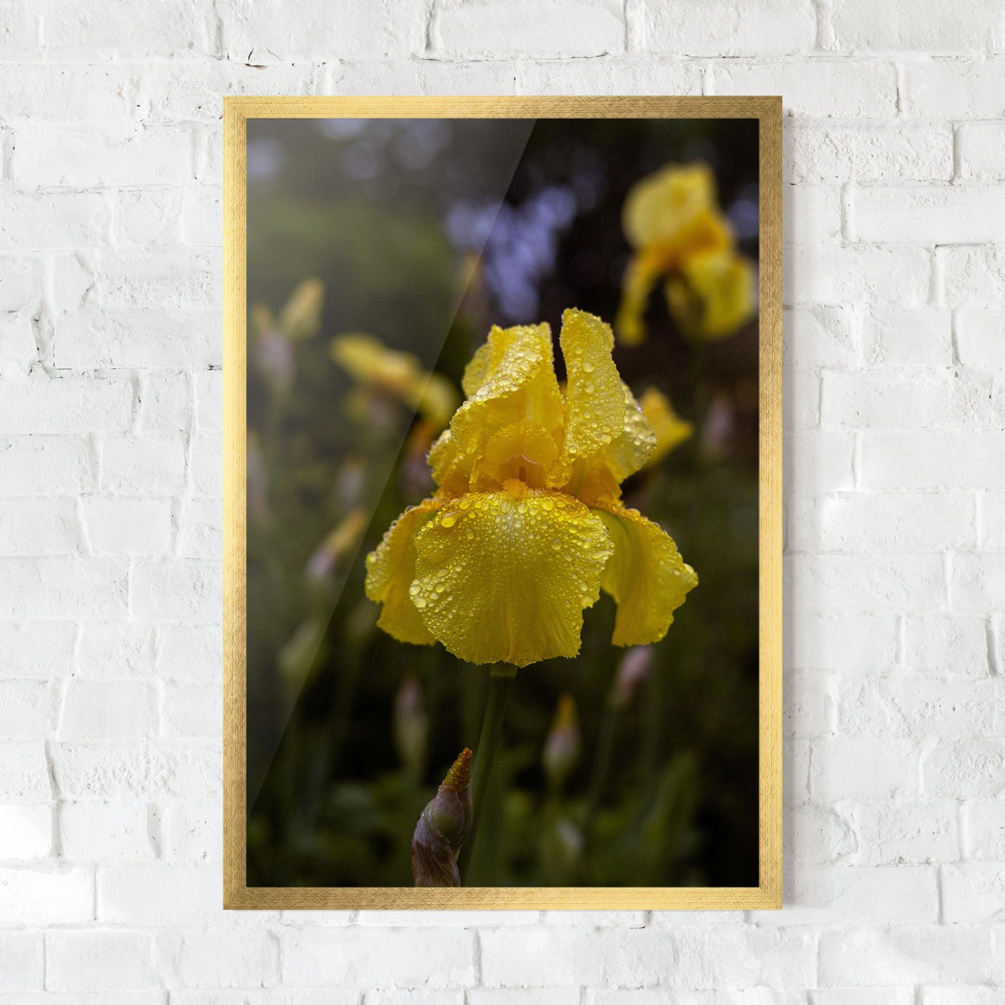 Yellow Iris After Rain mockup 0