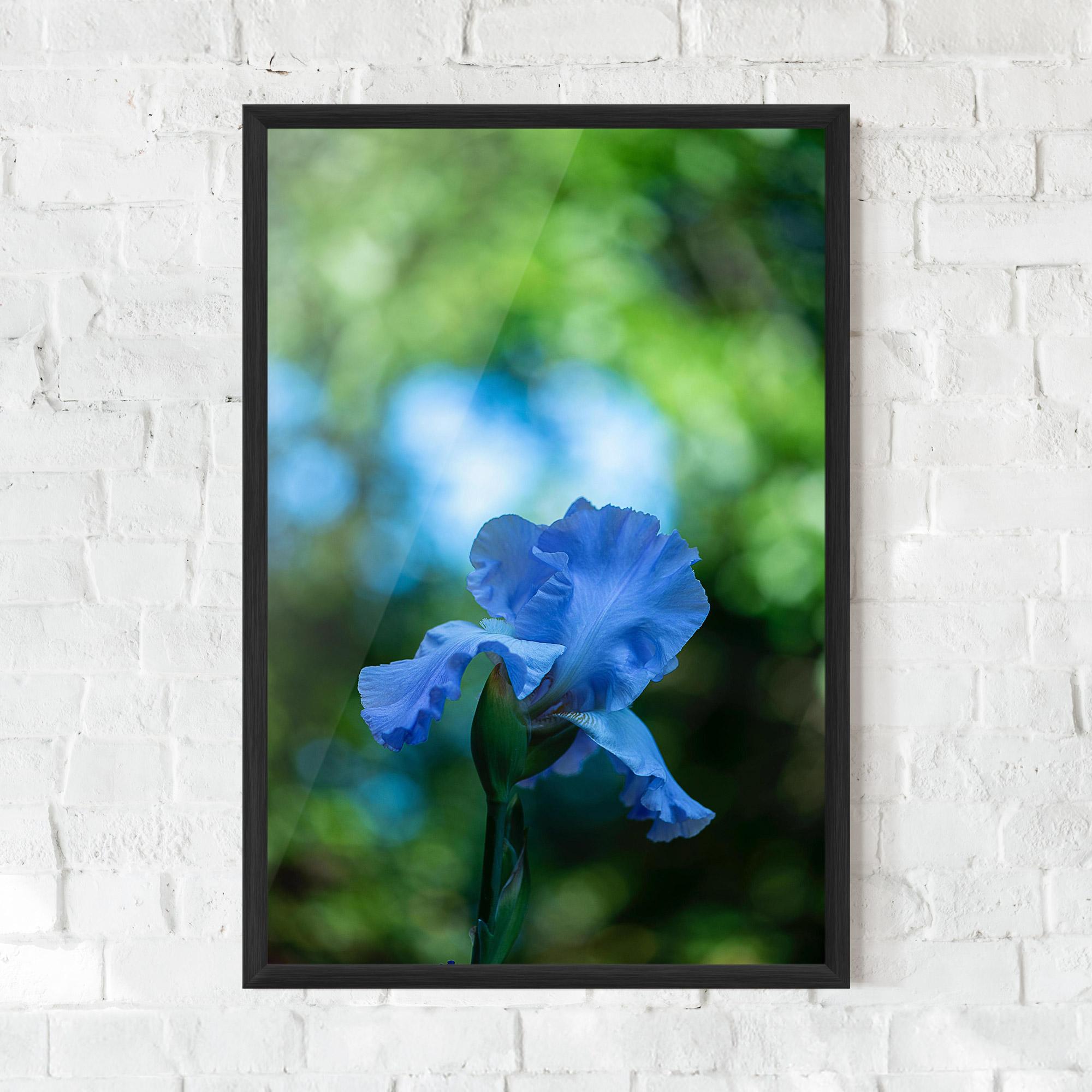 Keretezett Poszter Blue Iris In The Garden mockup 0