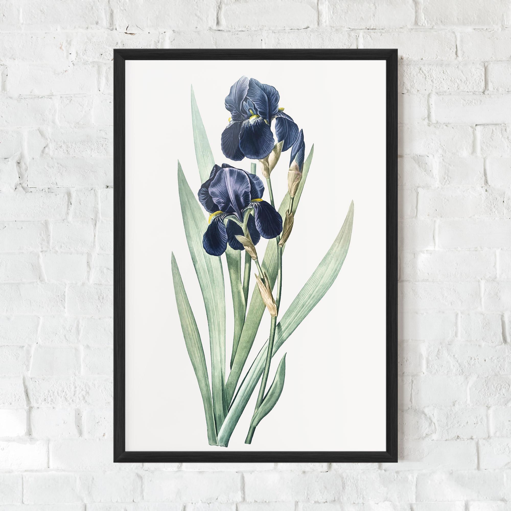 Keretezett Poszter Dark Blue Iris mockup 0