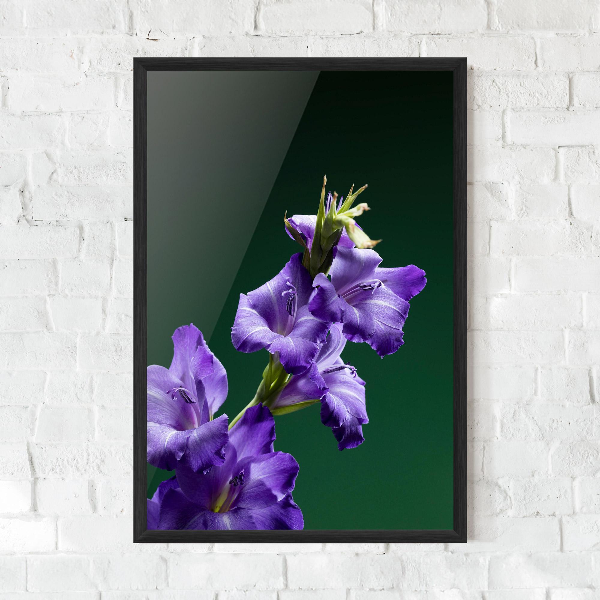 Keretezett Poszter Iris On Green mockup 0