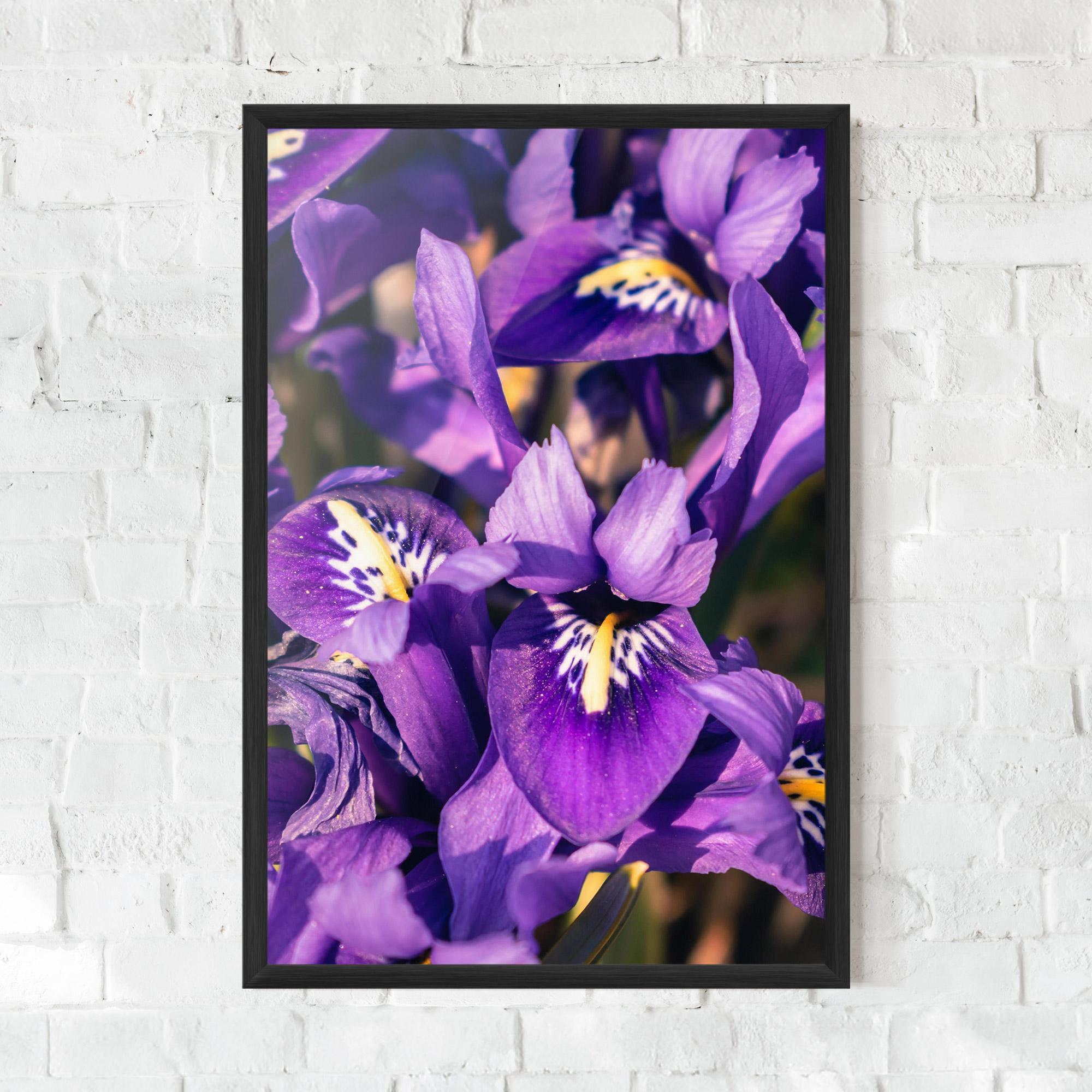 Keretezett Poszter Small Purple Iris mockup 0