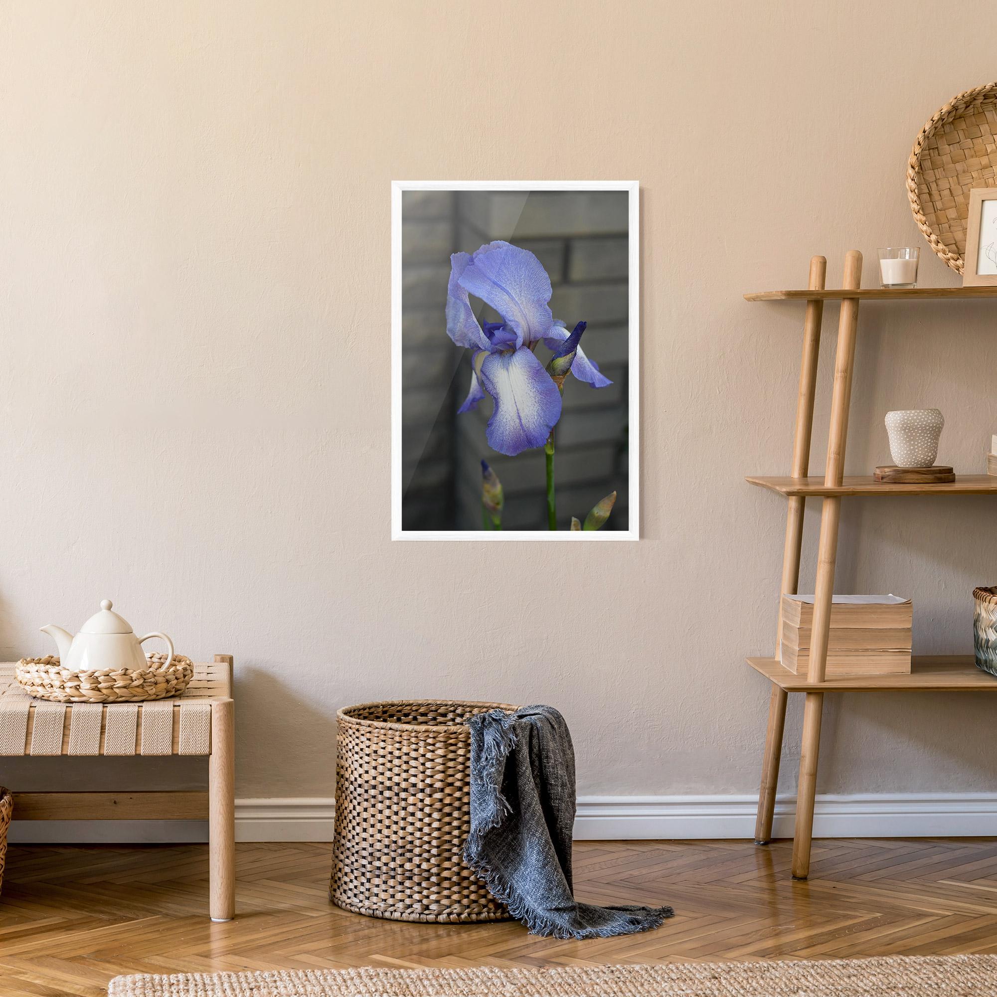 Keretezett Poszter Purple Iris On Gray mockup 9