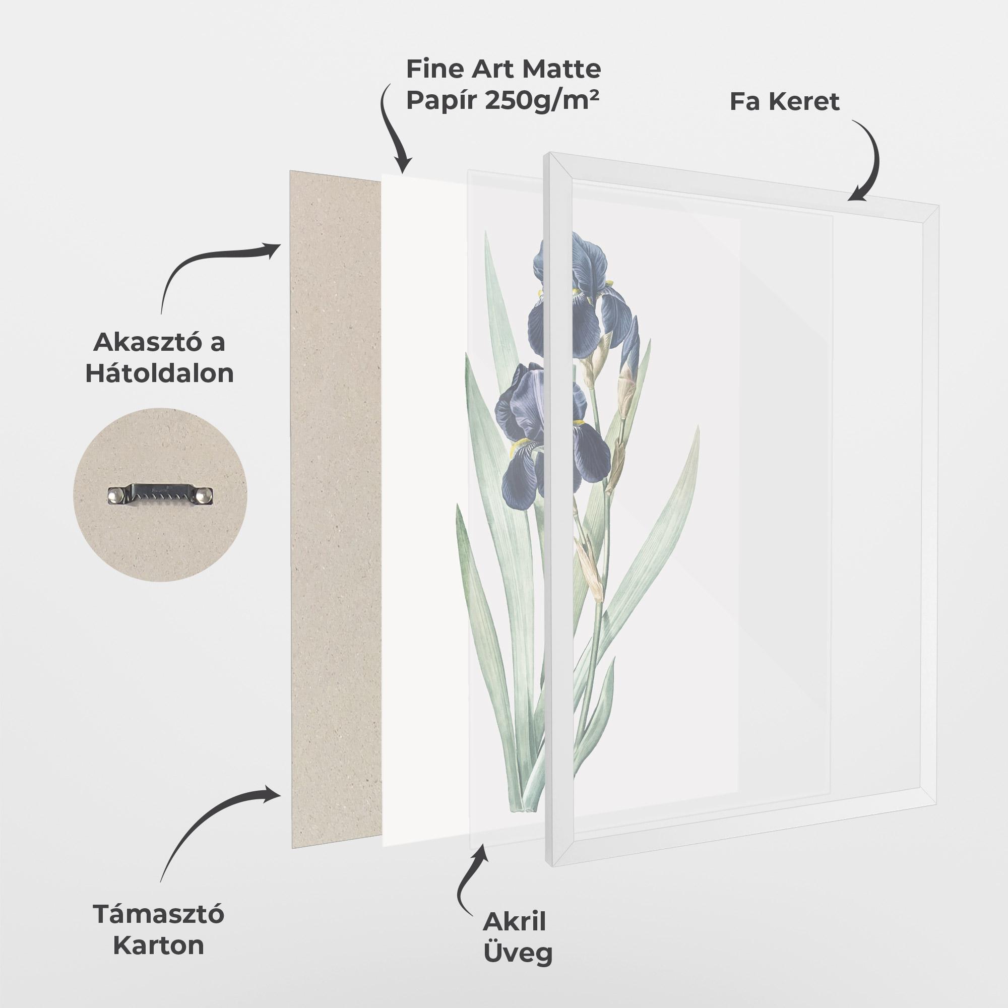 Keretezett Poszter Dark Blue Iris mockup 1