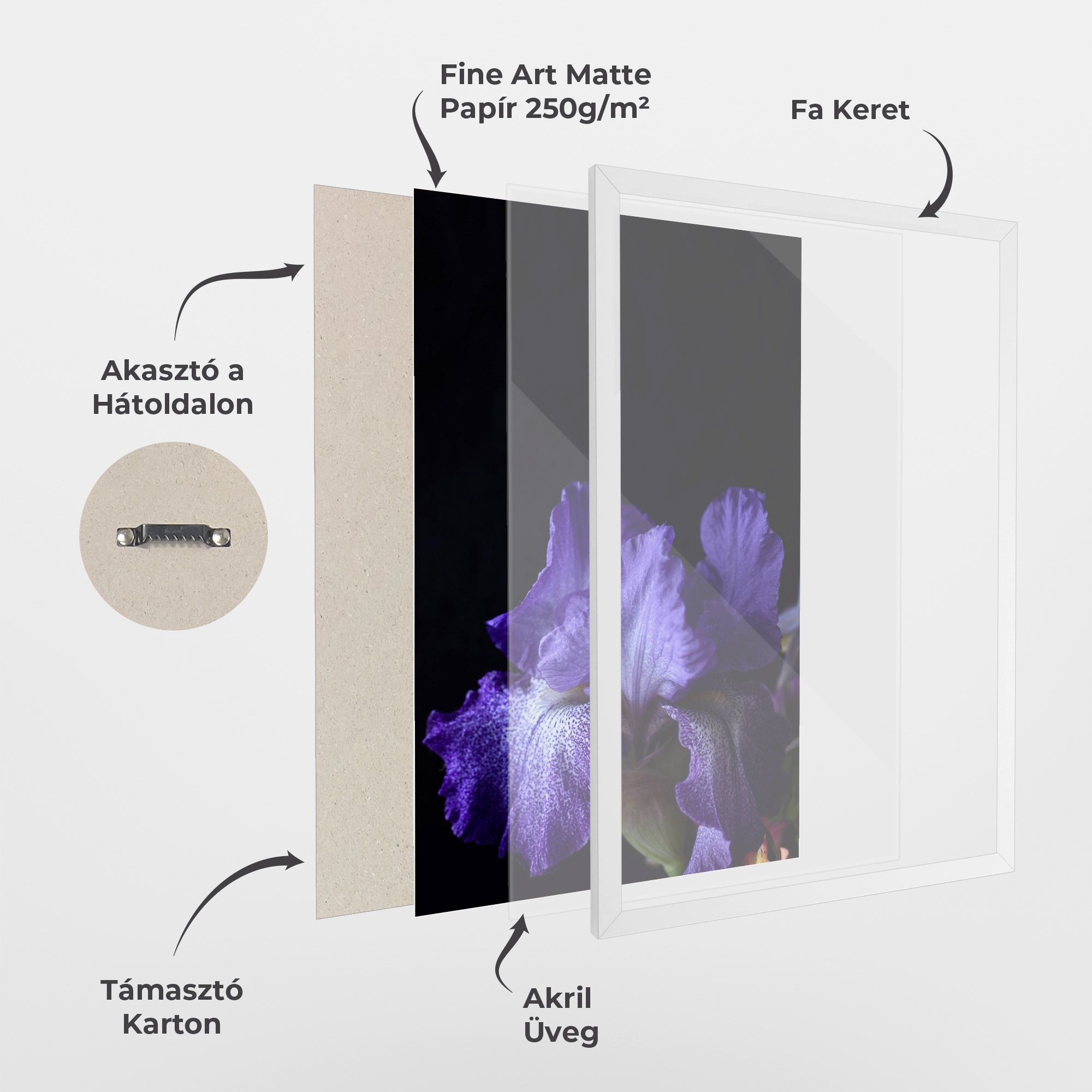 Dark Purple Iris On Black mockup 1