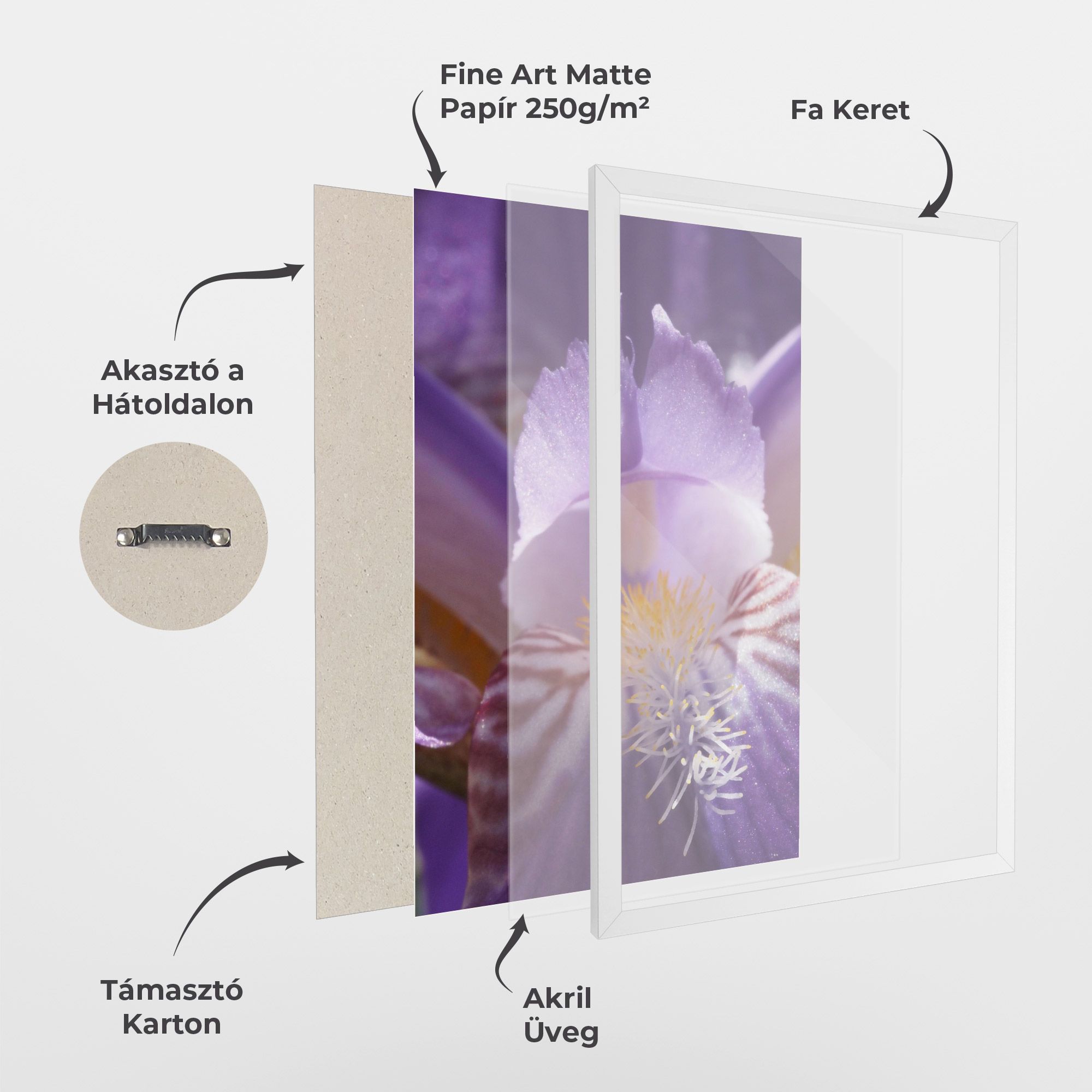 Purple Iris Close Up mockup 1