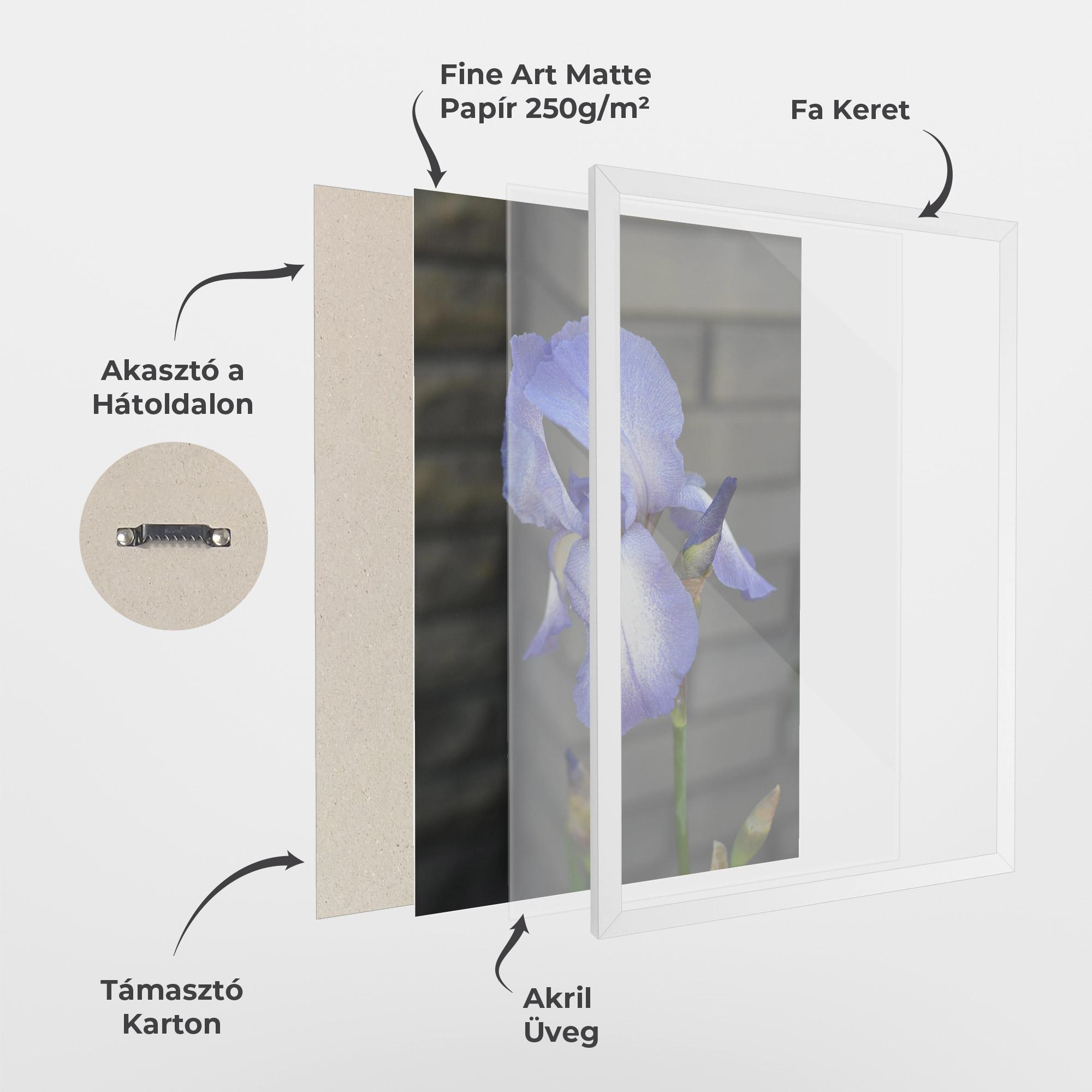 Keretezett Poszter Purple Iris On Gray mockup 1