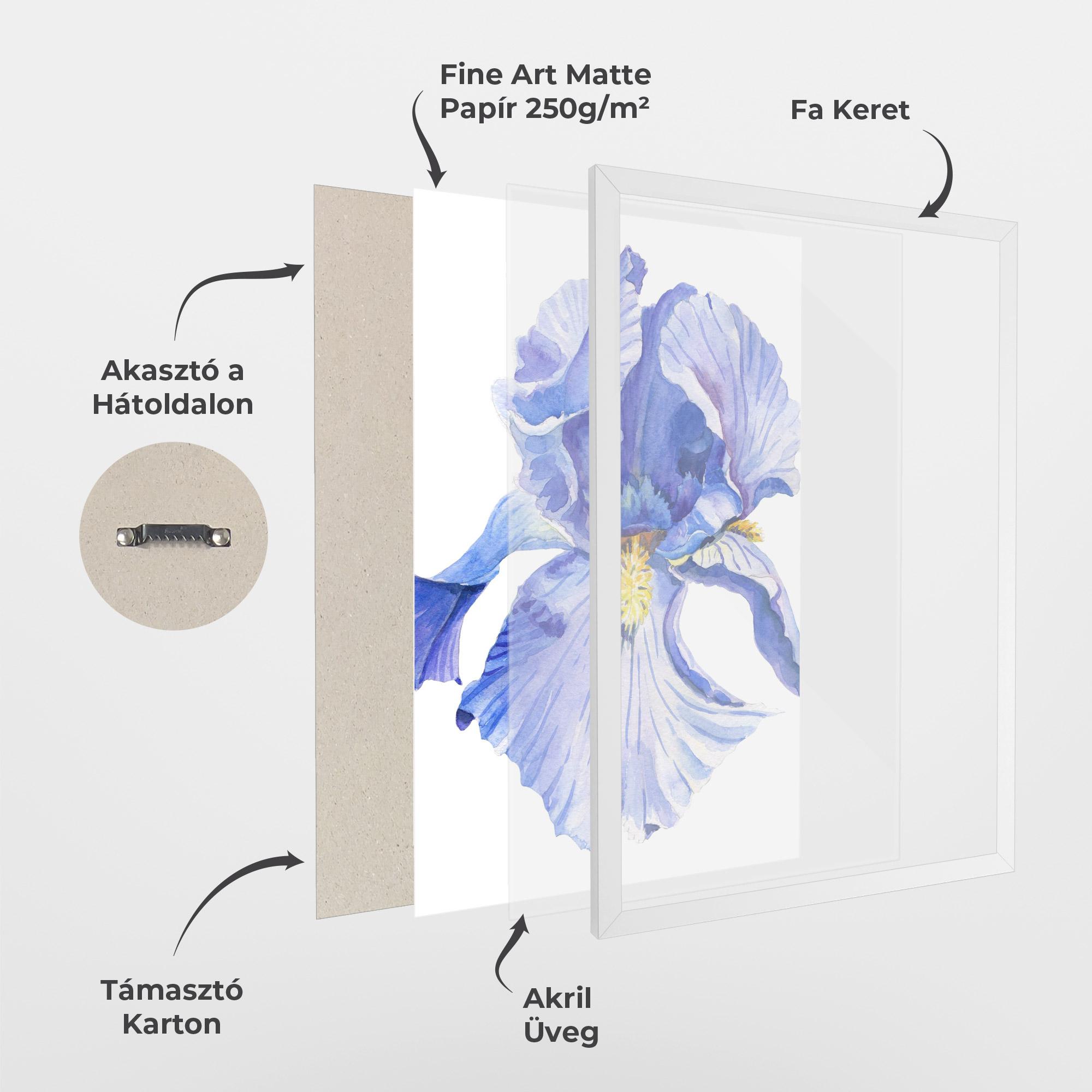Keretezett Poszter Purple Iris On White mockup 1