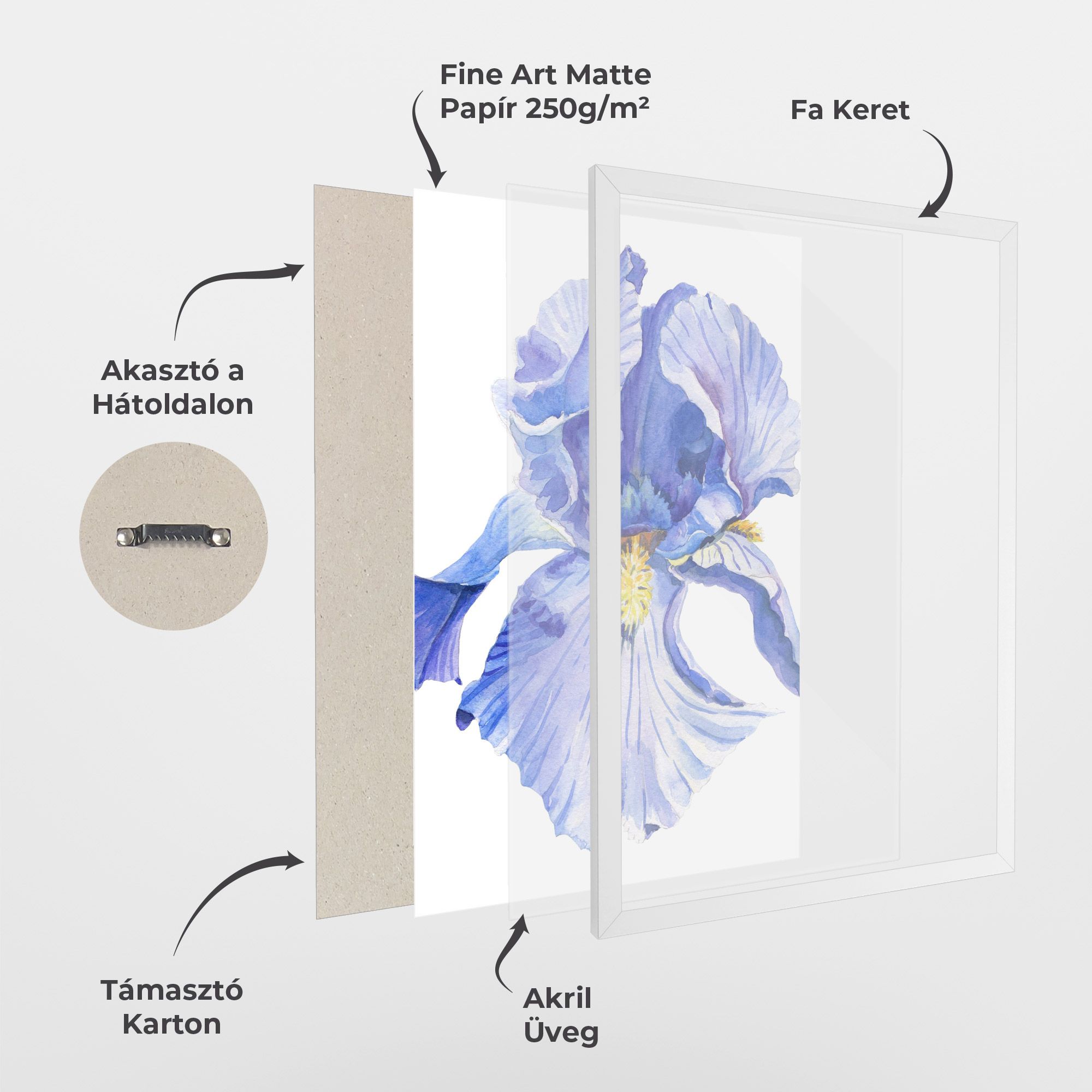 Purple Iris On White mockup 1