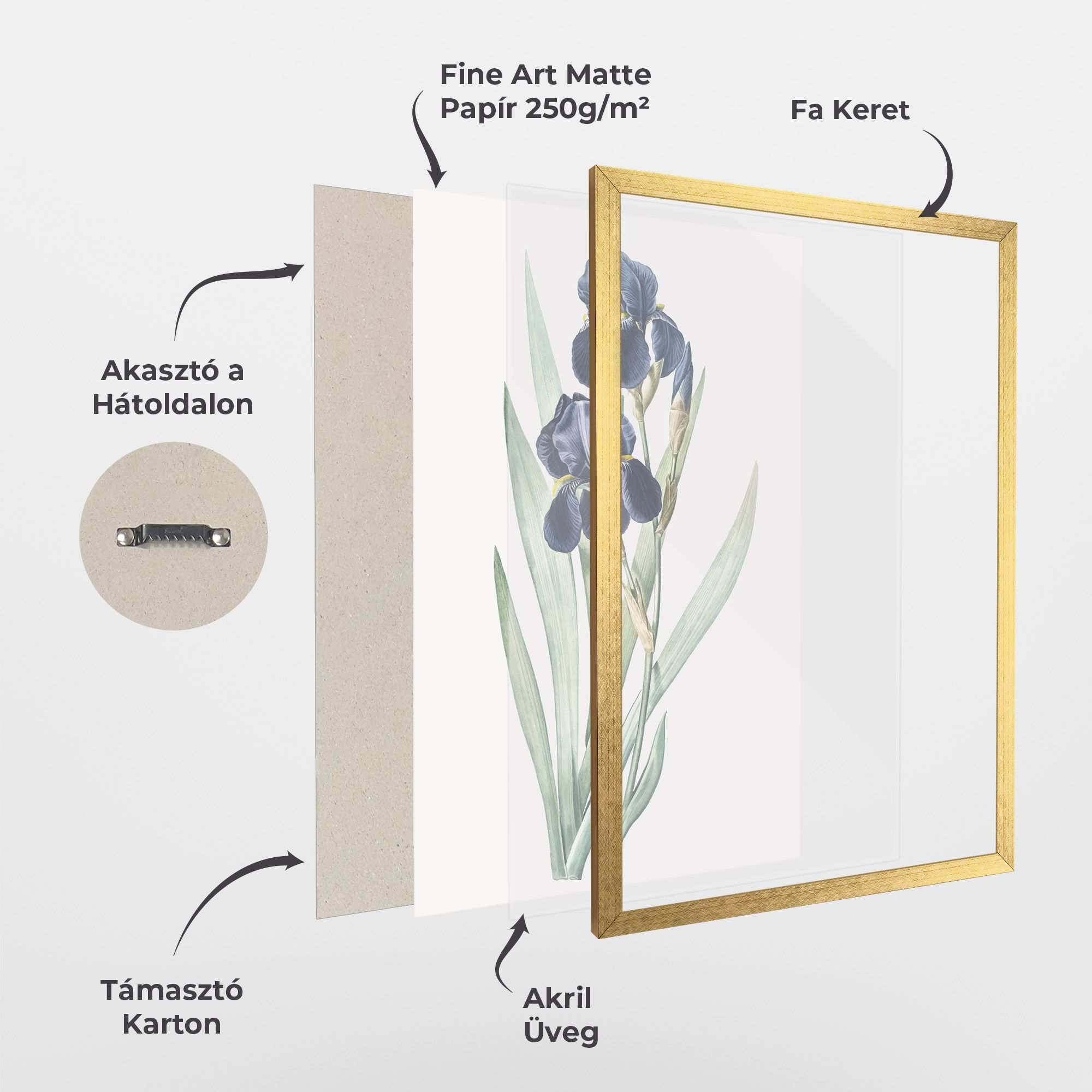 Dark Blue Iris mockup 1