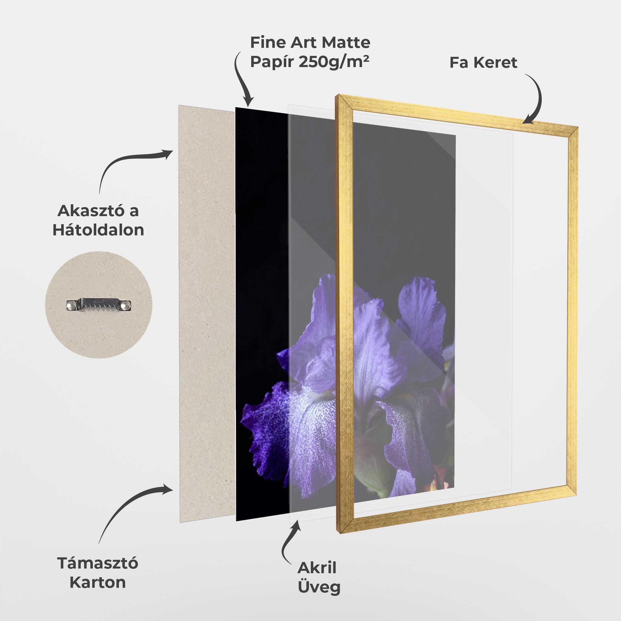 Keretezett Poszter Dark Purple Iris On Black mockup 1
