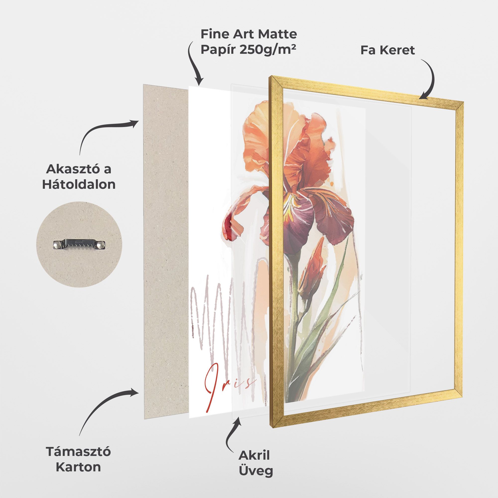 Orange Iris mockup 1