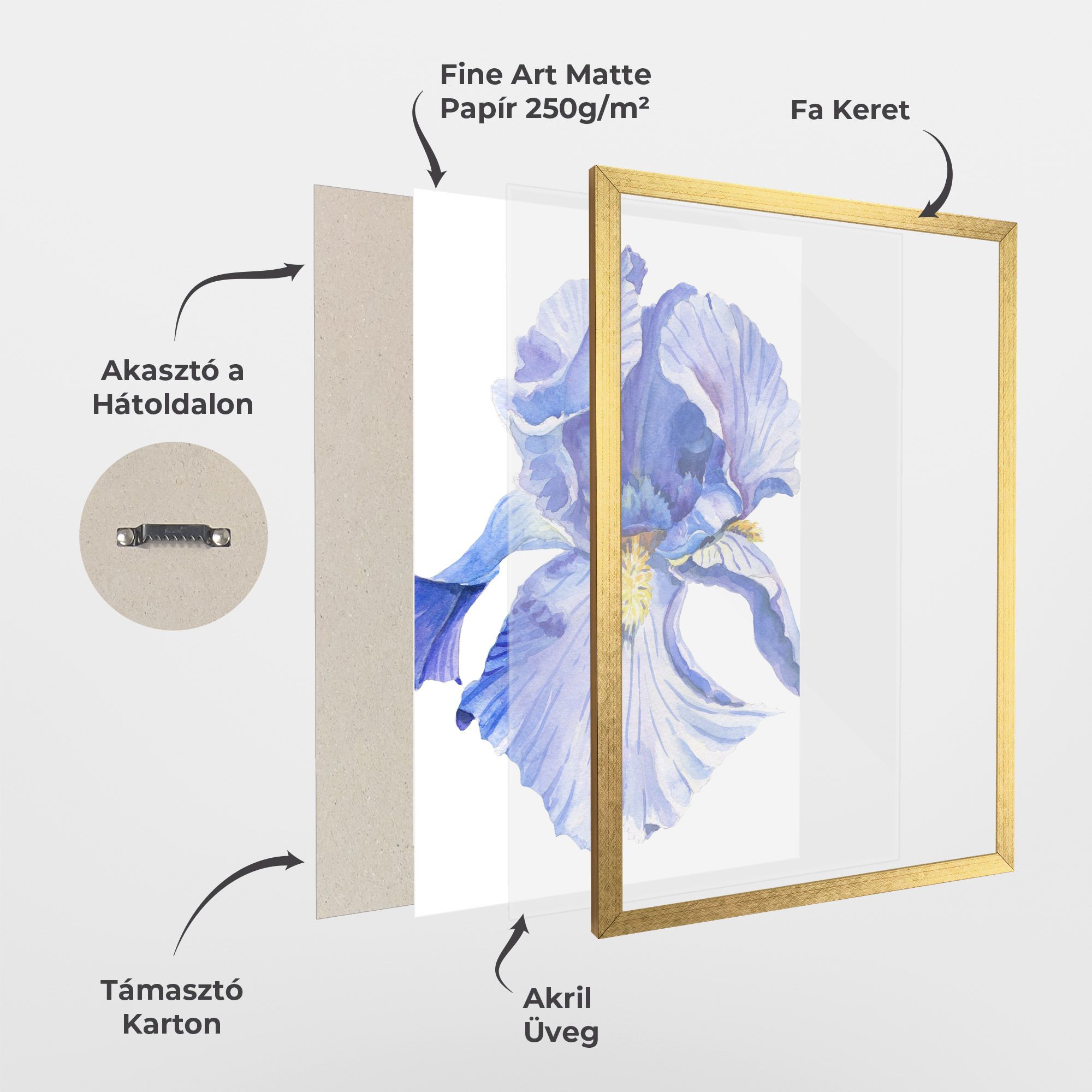 Purple Iris On White mockup 1