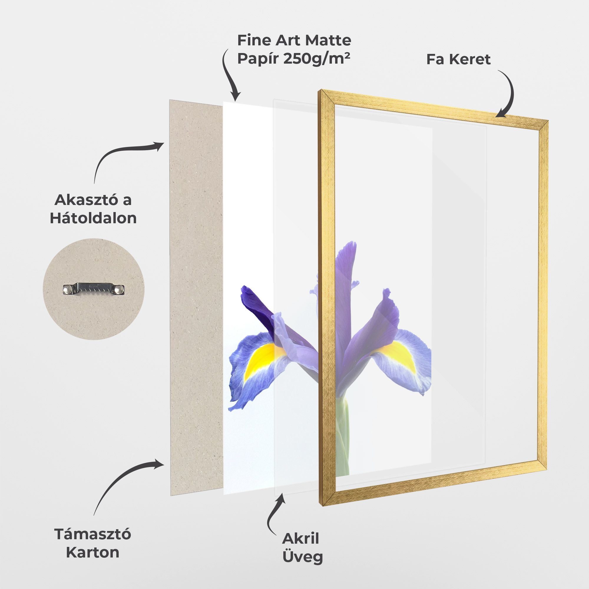 Yellow Color Iris mockup 1