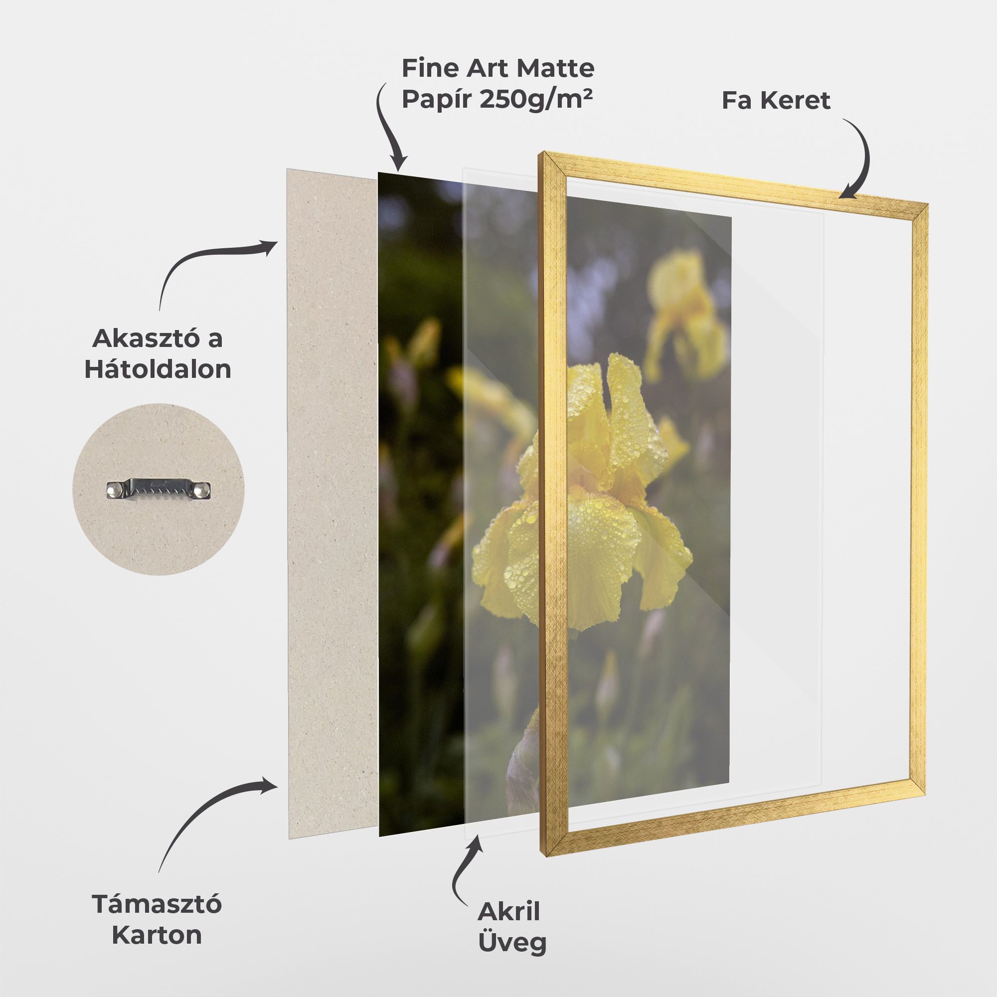Yellow Iris After Rain mockup 1