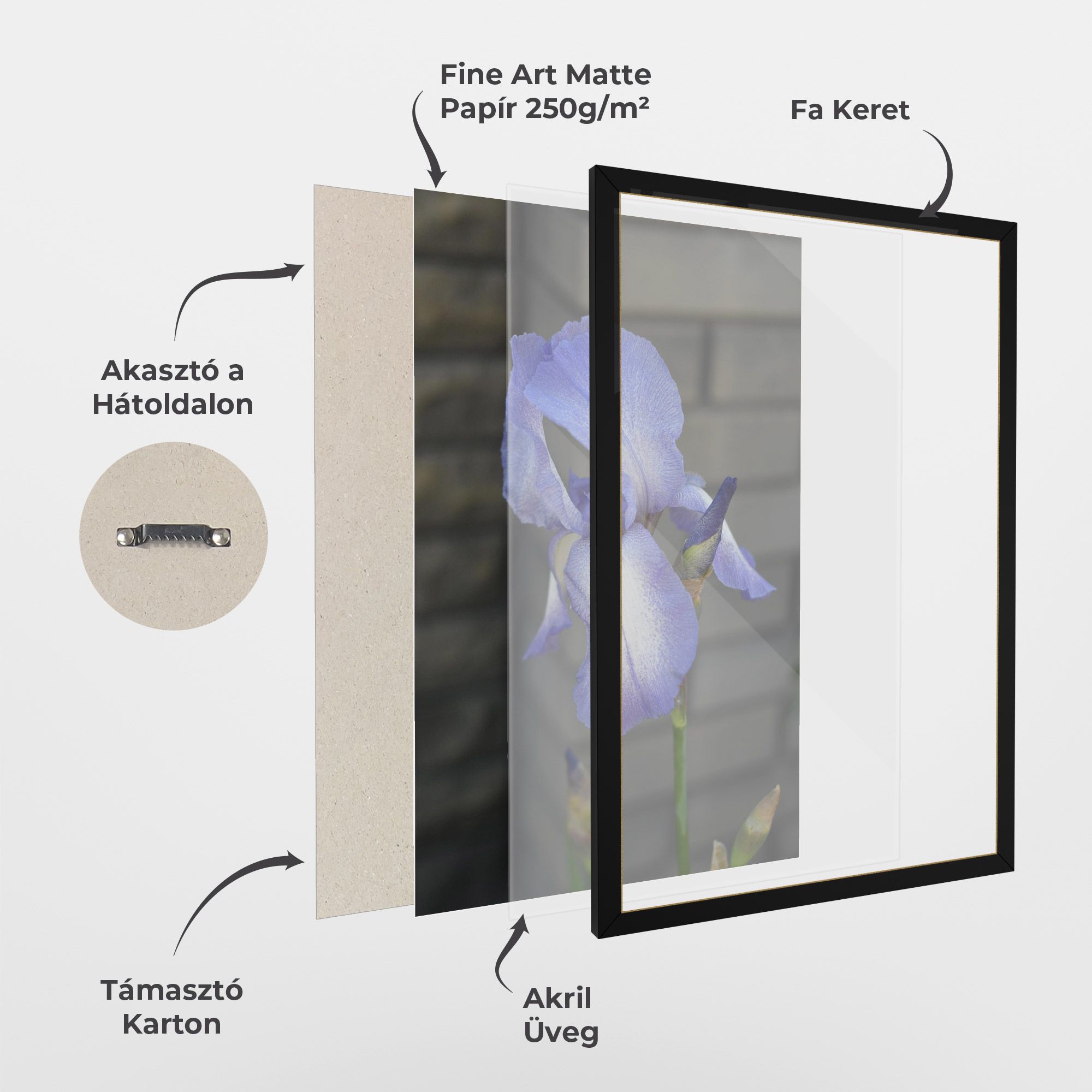 Purple Iris On Gray mockup 1