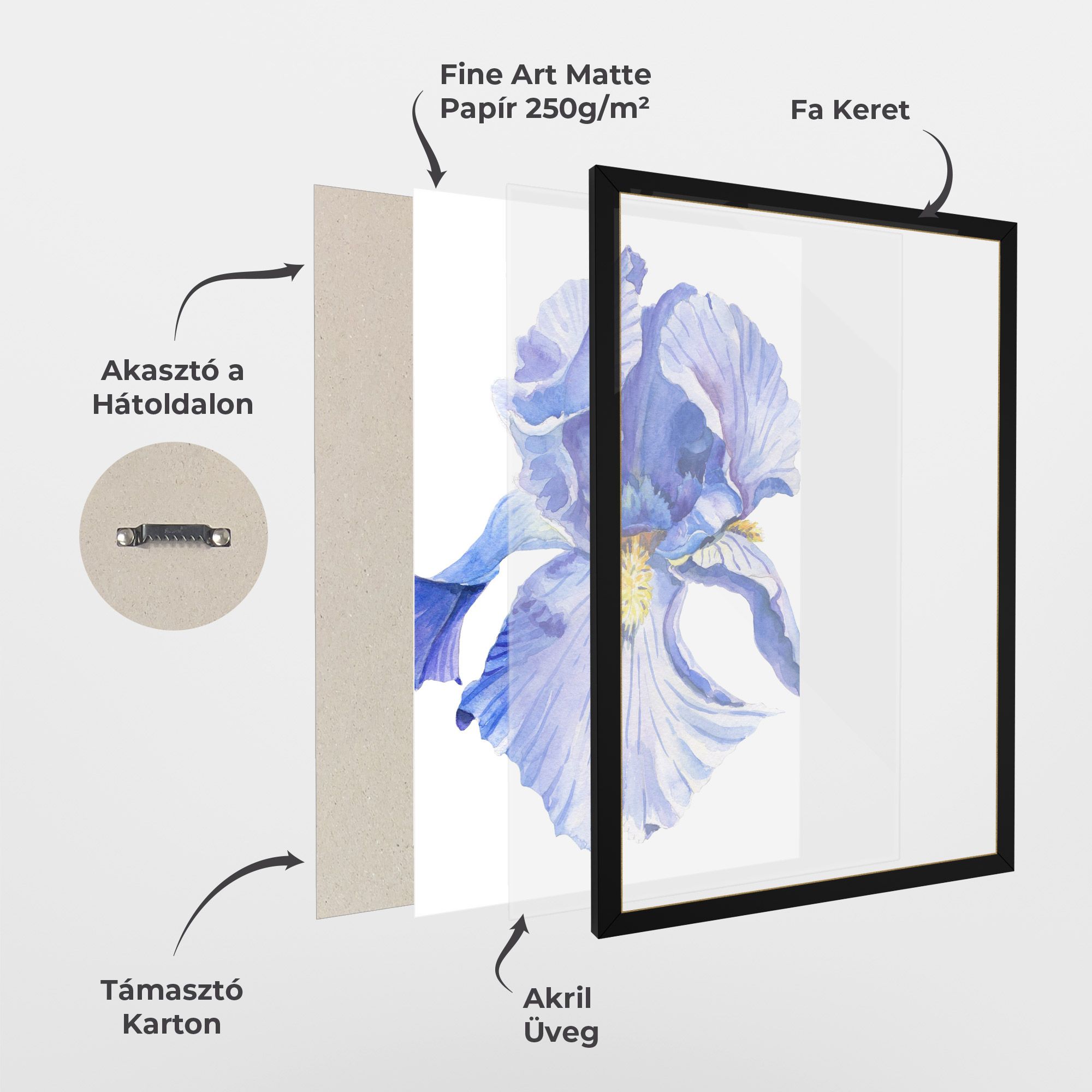Purple Iris On White mockup 1