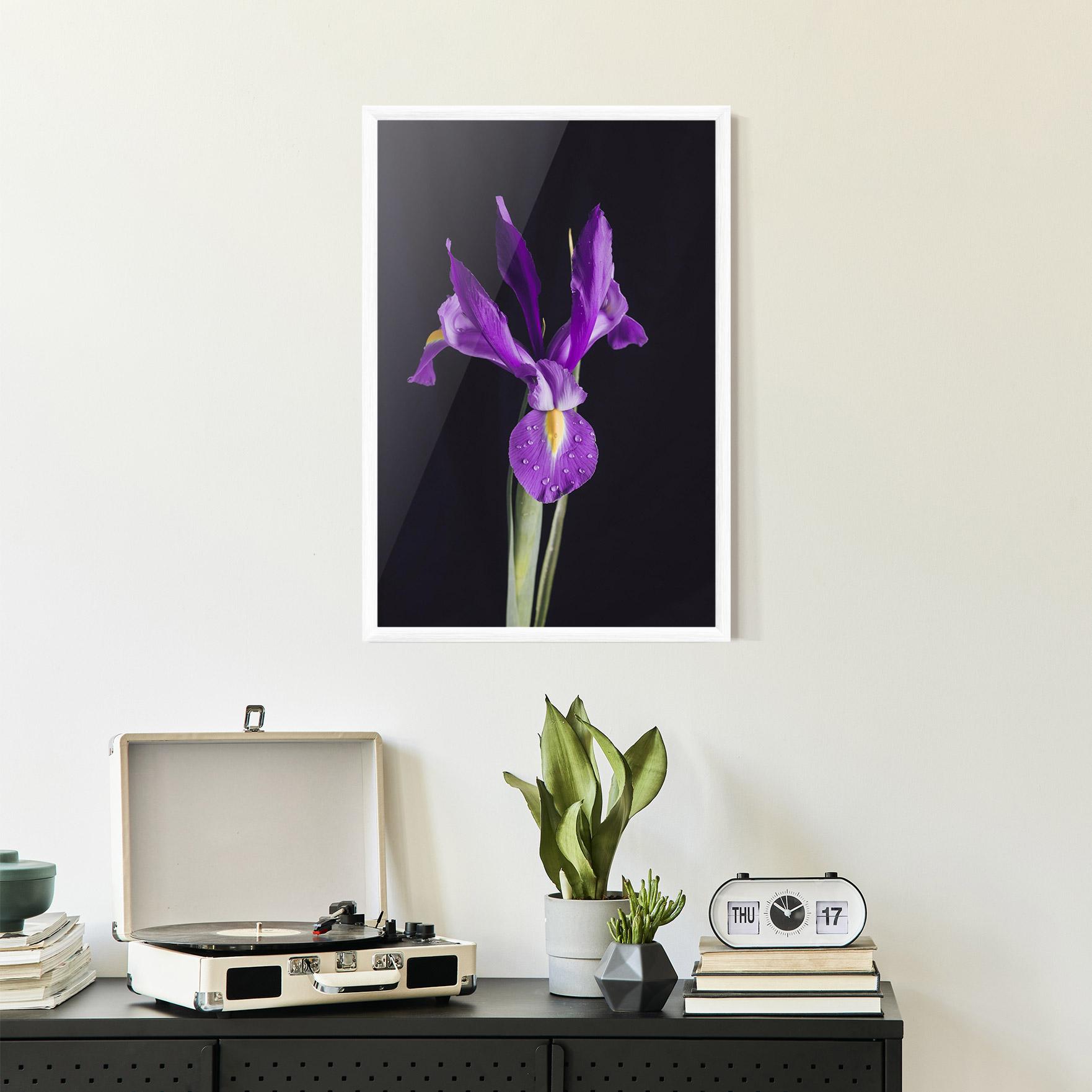 Keretezett Poszter Fresh Purple Iris mockup 2