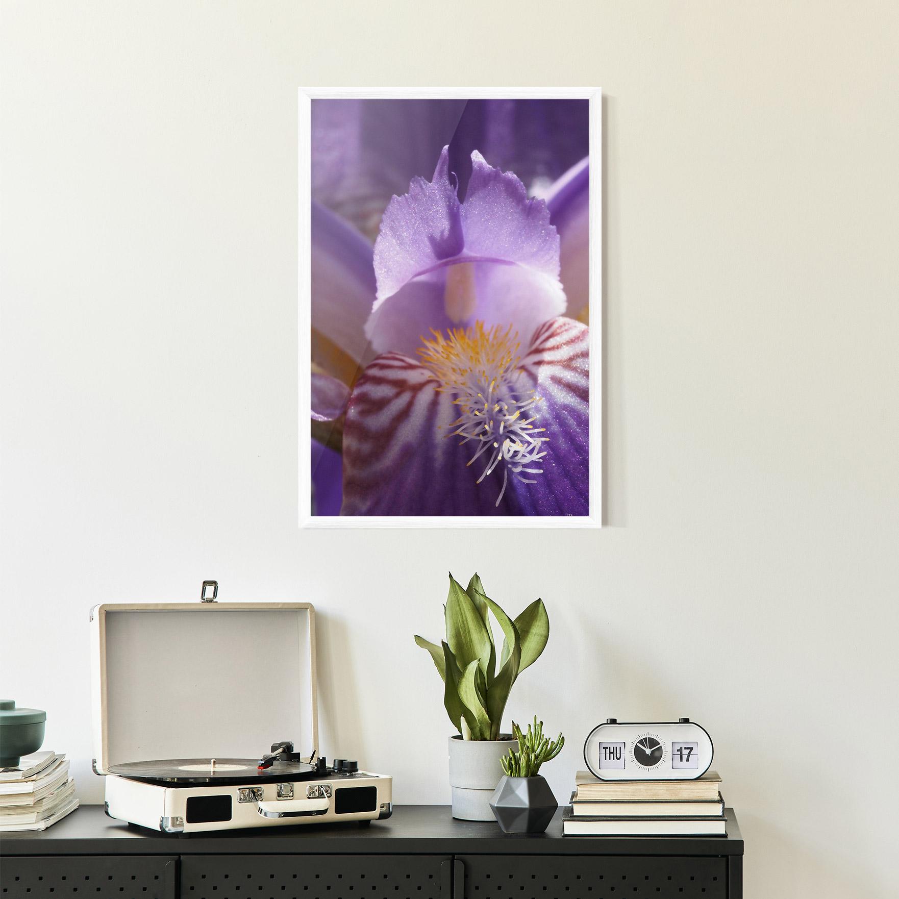Keretezett Poszter Purple Iris Close Up mockup 2