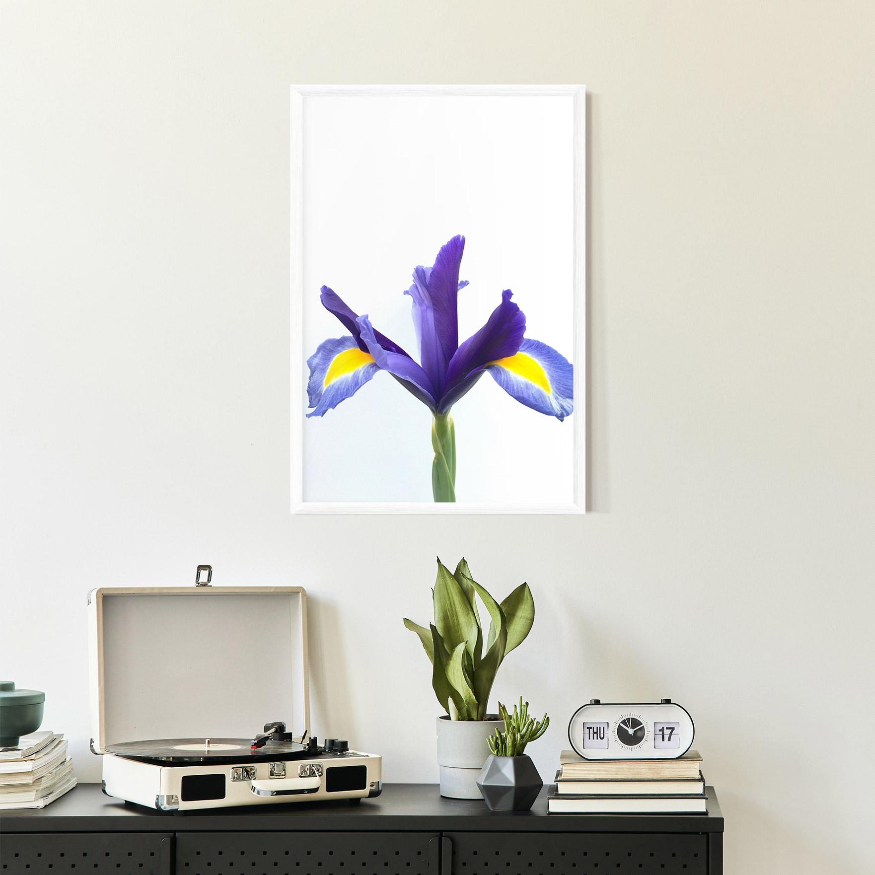 Keretezett Poszter Yellow Color Iris mockup 2