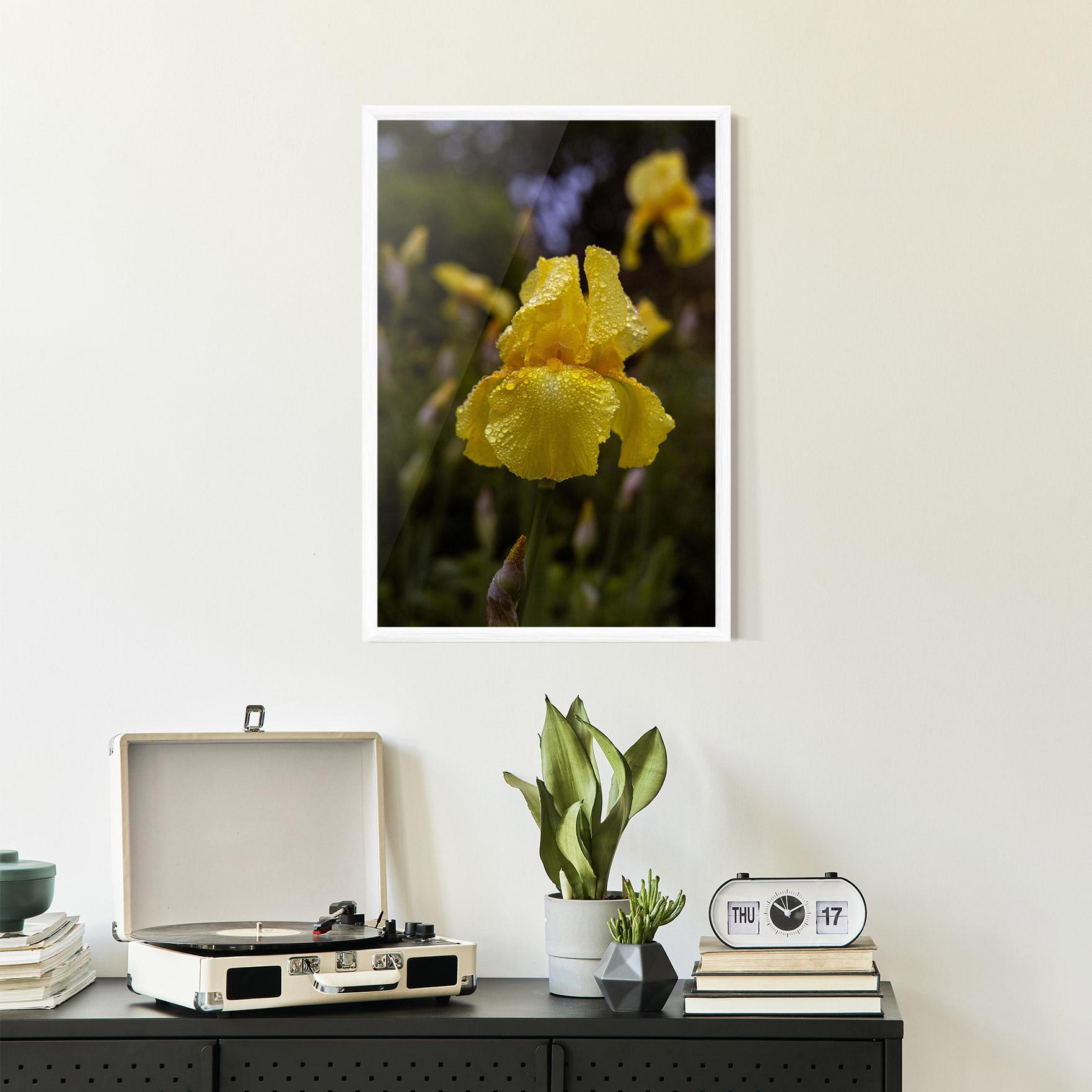 Keretezett Poszter Yellow Iris After Rain mockup 2