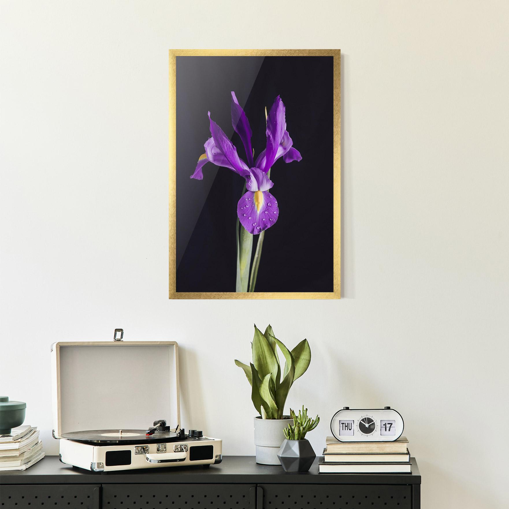 Keretezett Poszter Fresh Purple Iris mockup 2