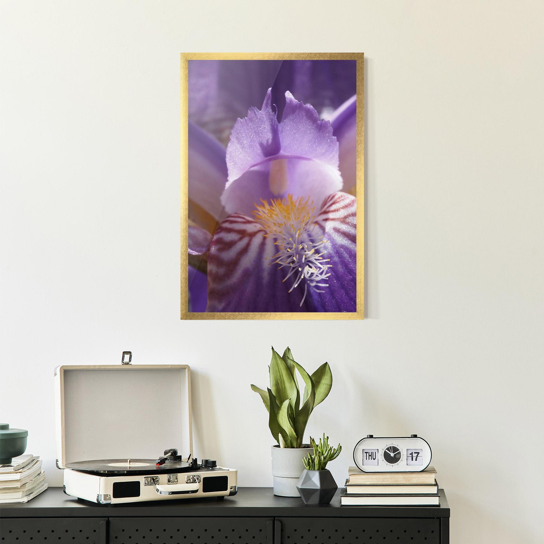 Keretezett Poszter Purple Iris Close Up mockup 2