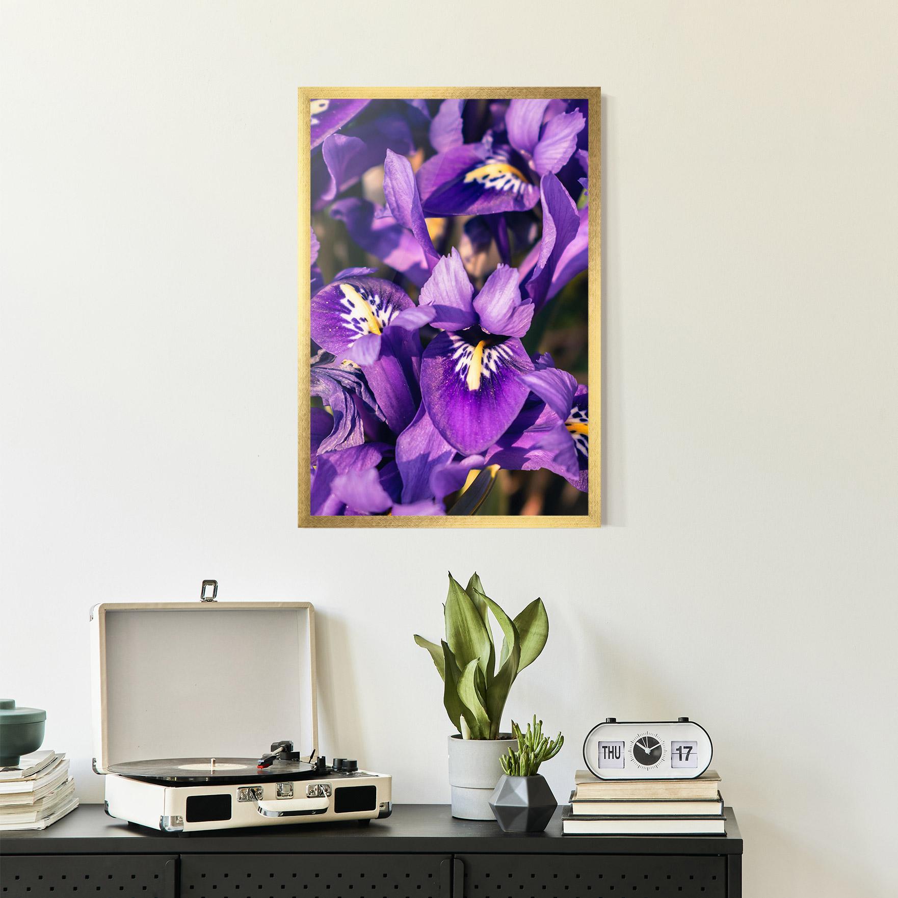 Keretezett Poszter Small Purple Iris mockup 2