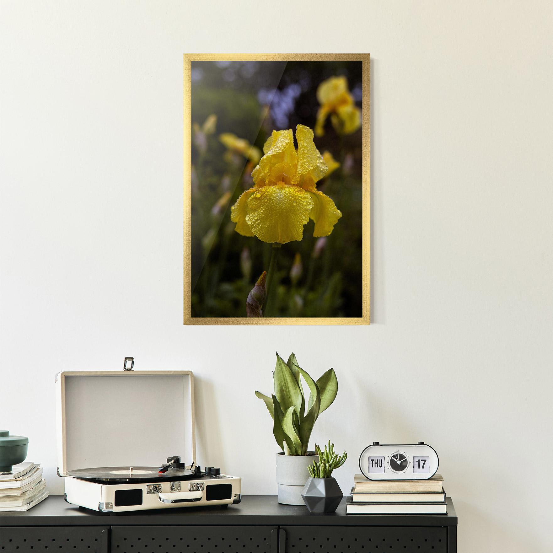 Keretezett Poszter Yellow Iris After Rain mockup 2