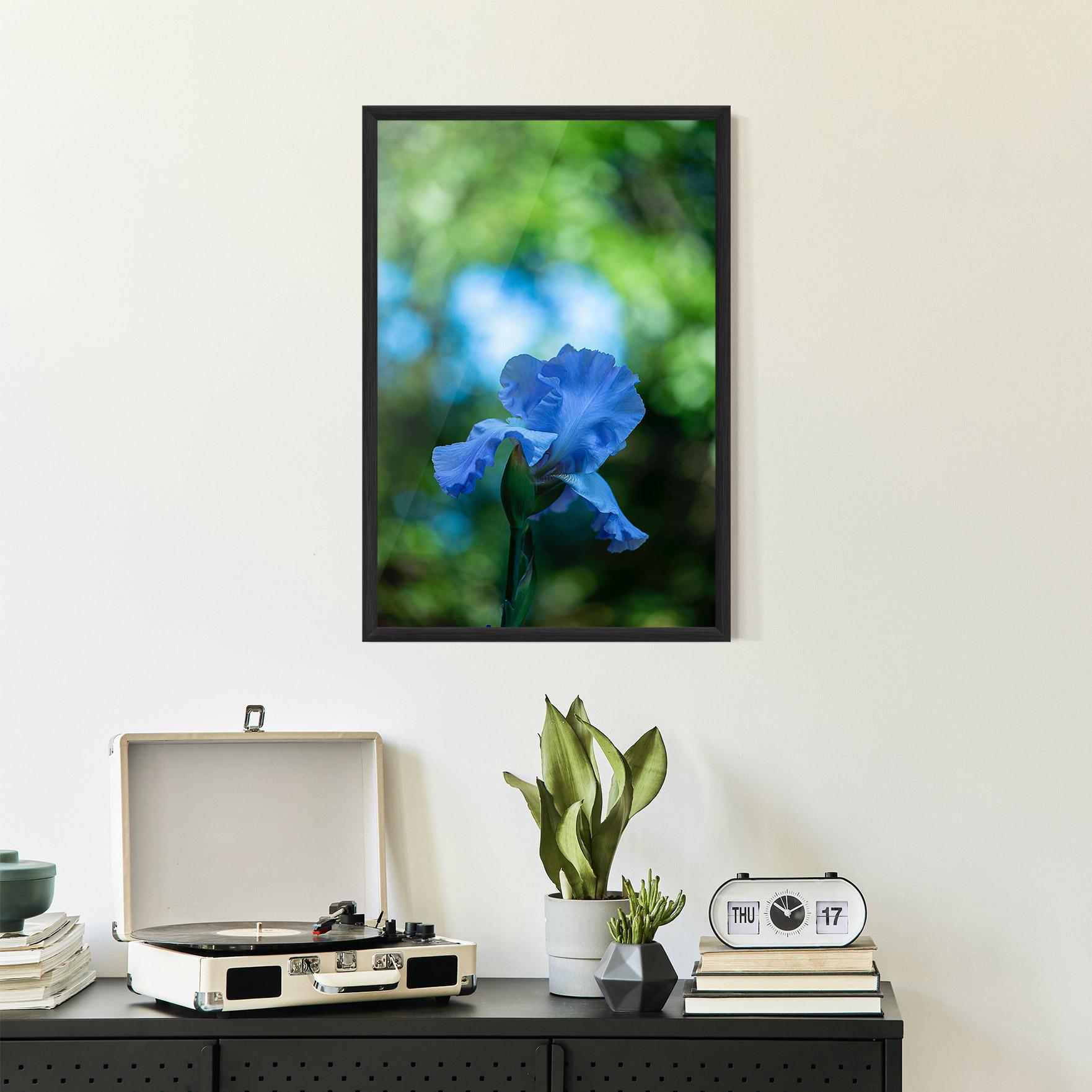 Keretezett Poszter Blue Iris In The Garden mockup 2