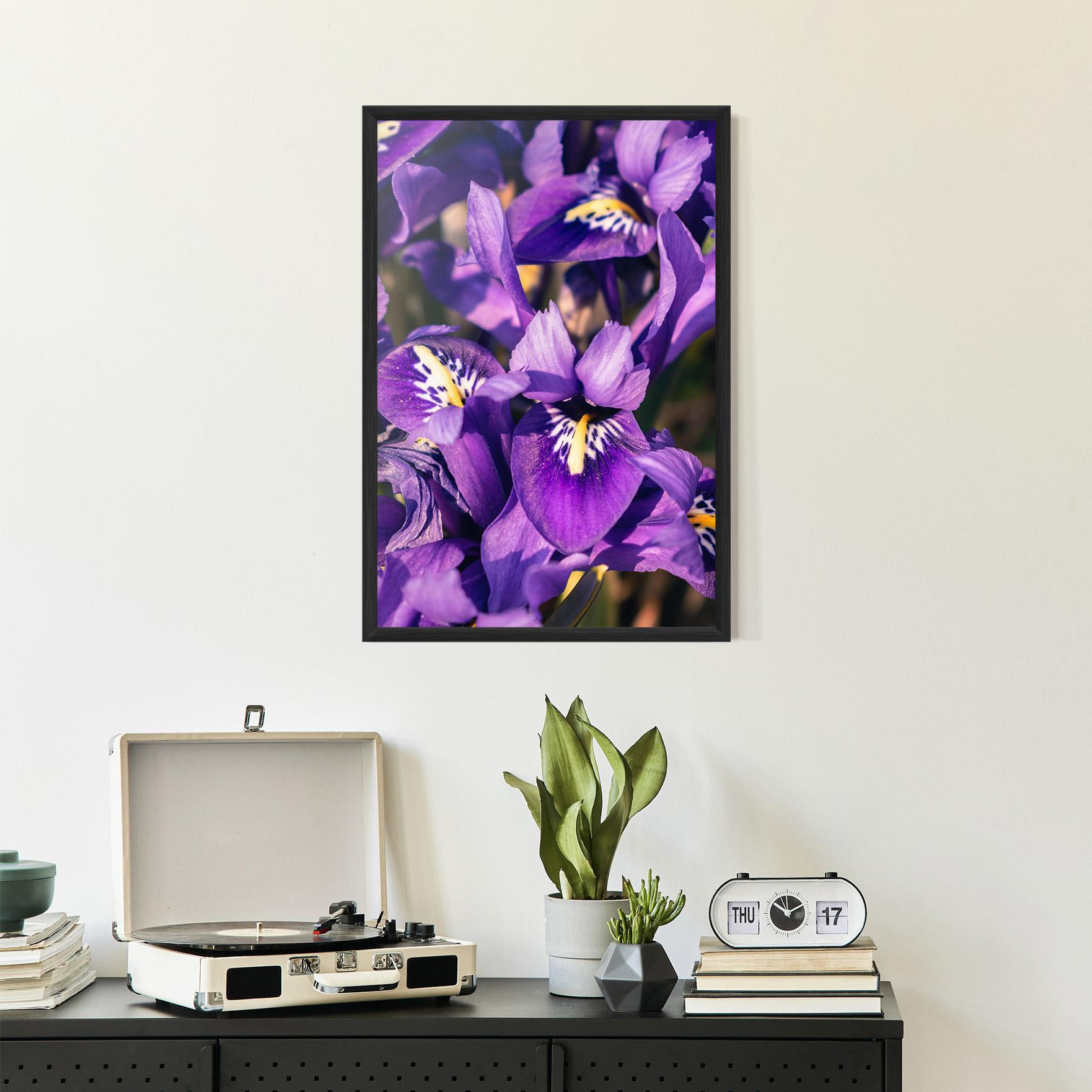 Keretezett Poszter Small Purple Iris mockup 2