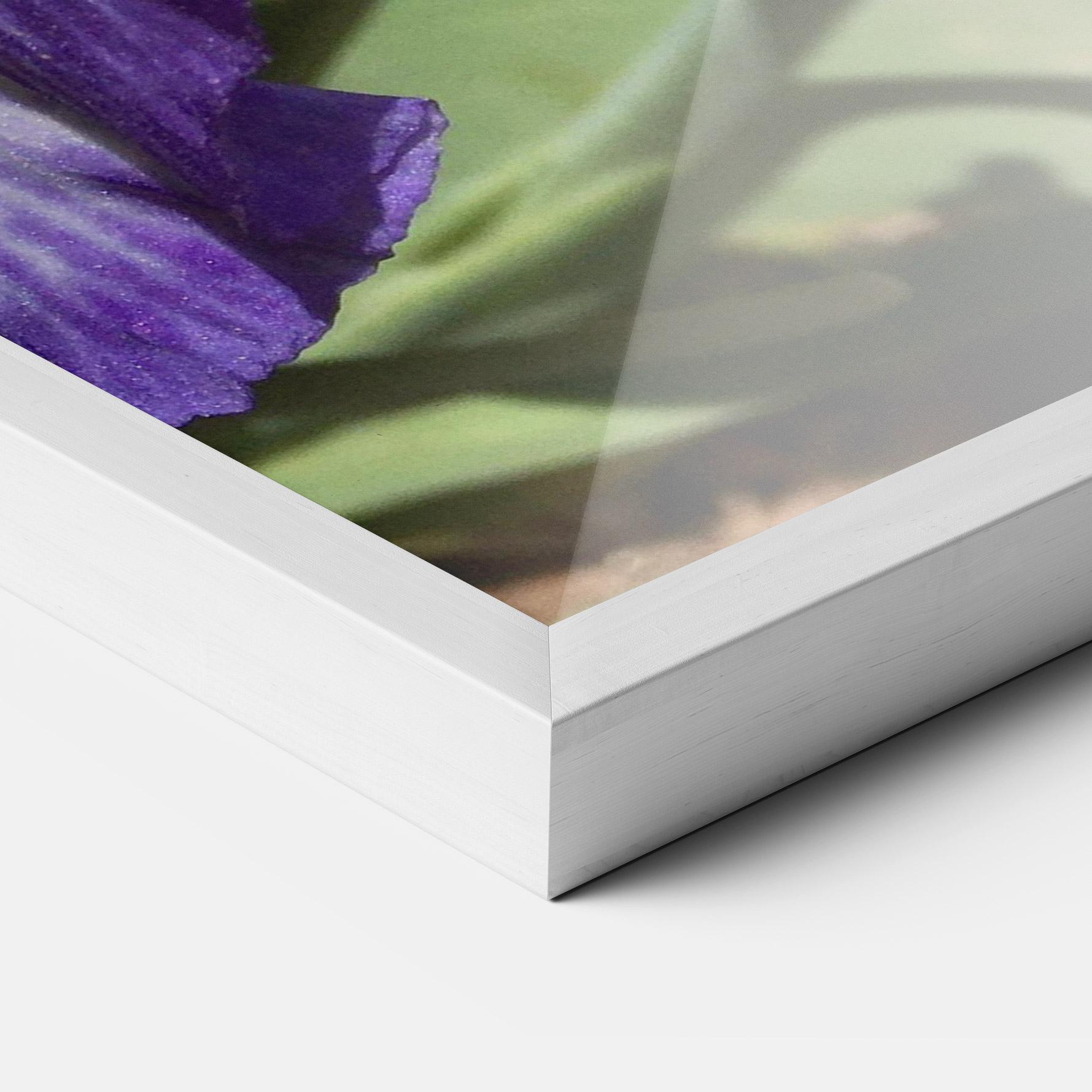 Keretezett Poszter Garden White Purple Irirs mockup 3