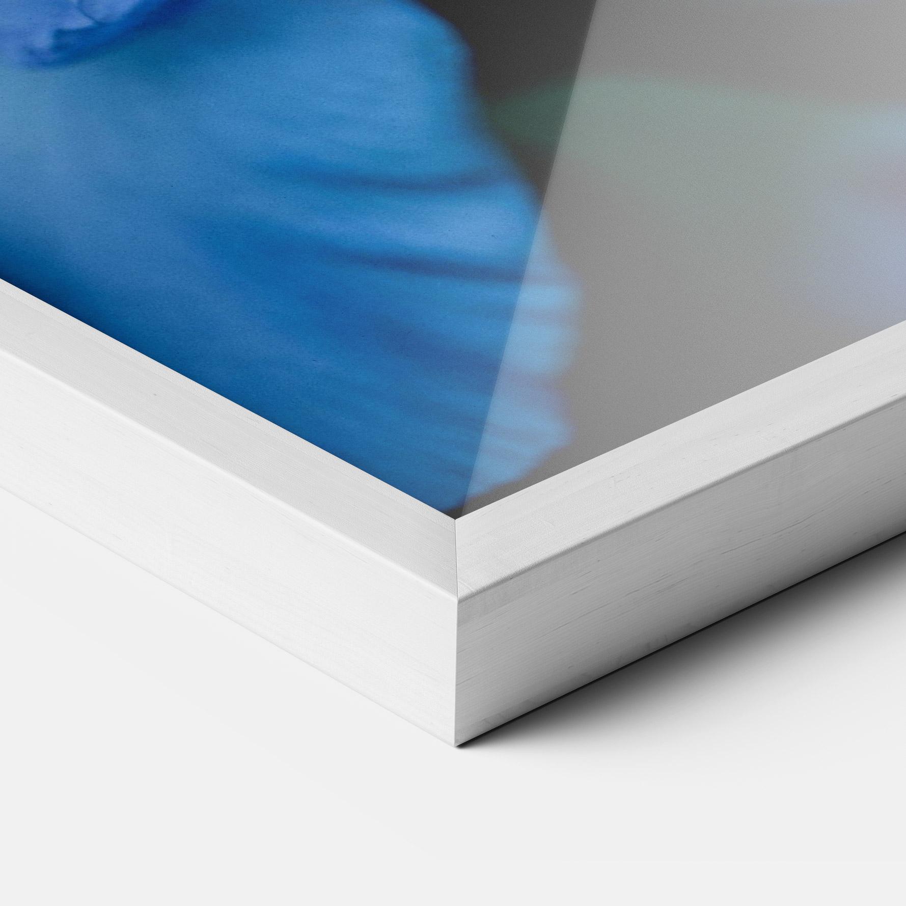 Keretezett Poszter Ocean Blue Iris mockup 3