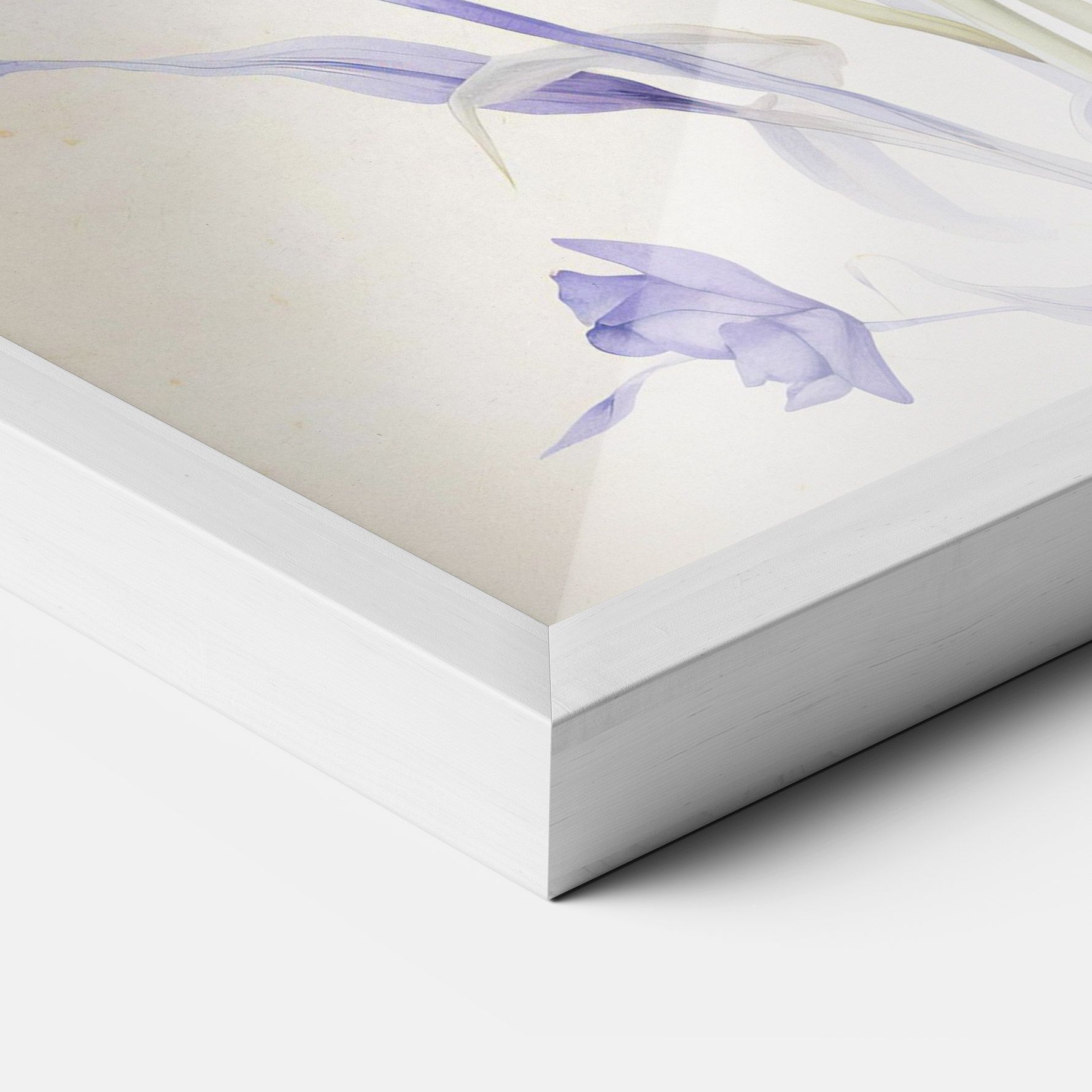 Purple Iris On Cream mockup 3