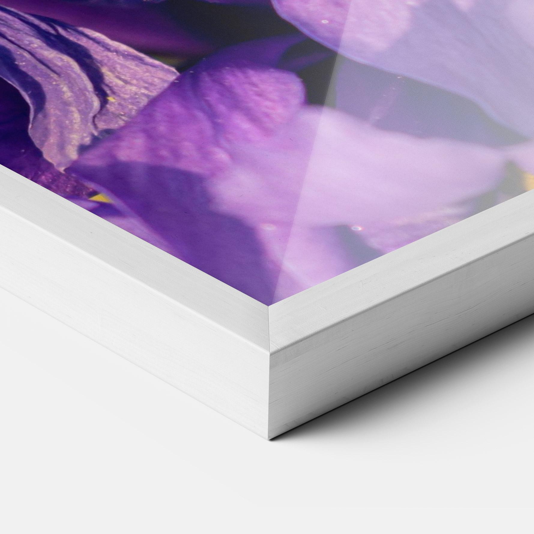 Keretezett Poszter Small Purple Iris mockup 3