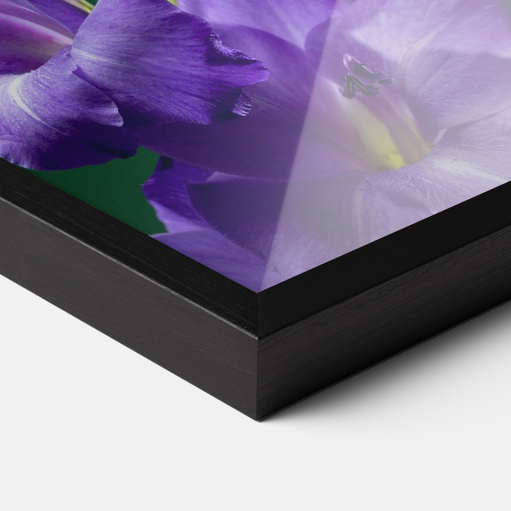 Iris On Green mockup 3