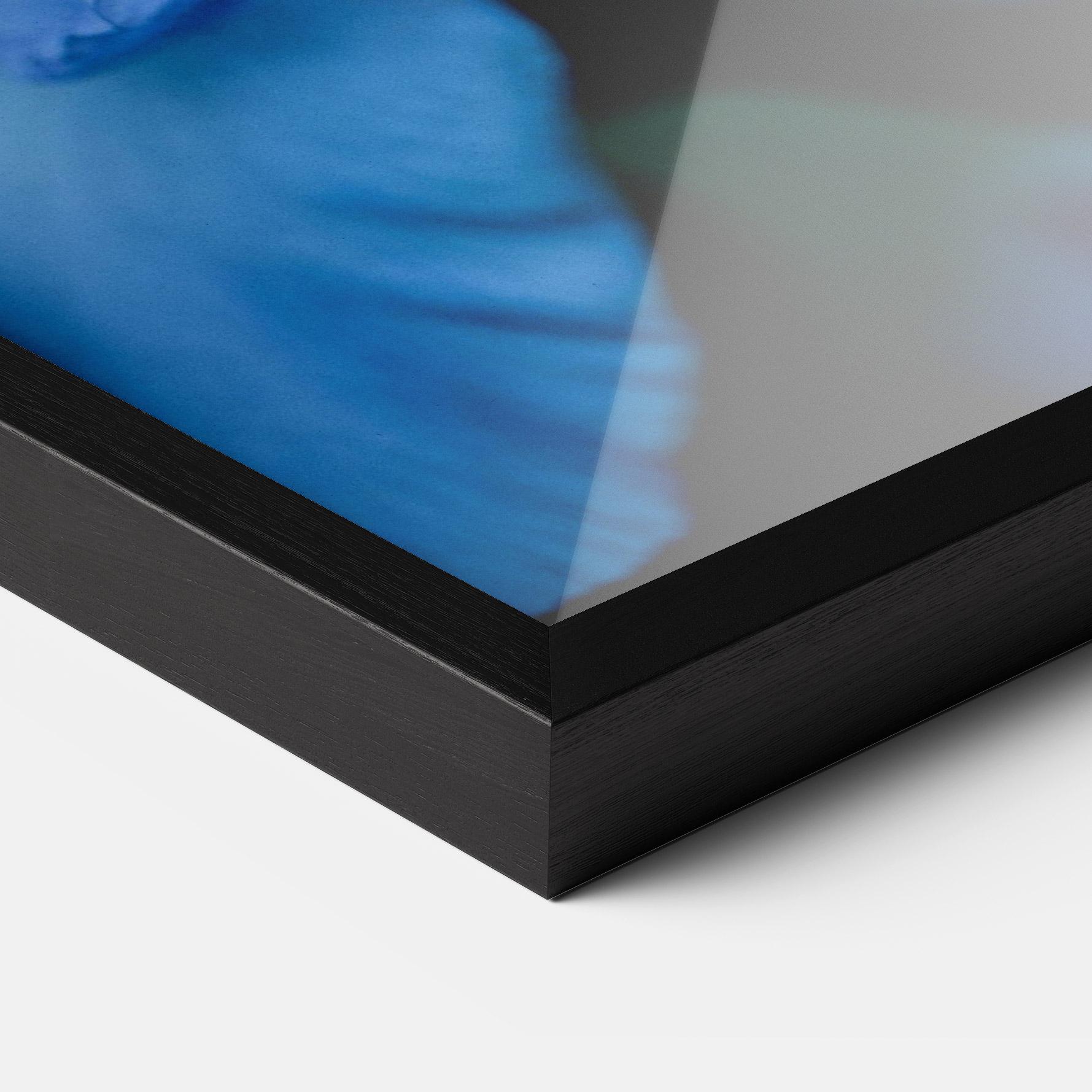 Keretezett Poszter Ocean Blue Iris mockup 3