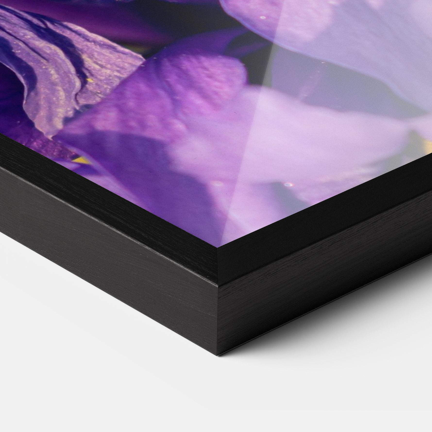 Keretezett Poszter Small Purple Iris mockup 3