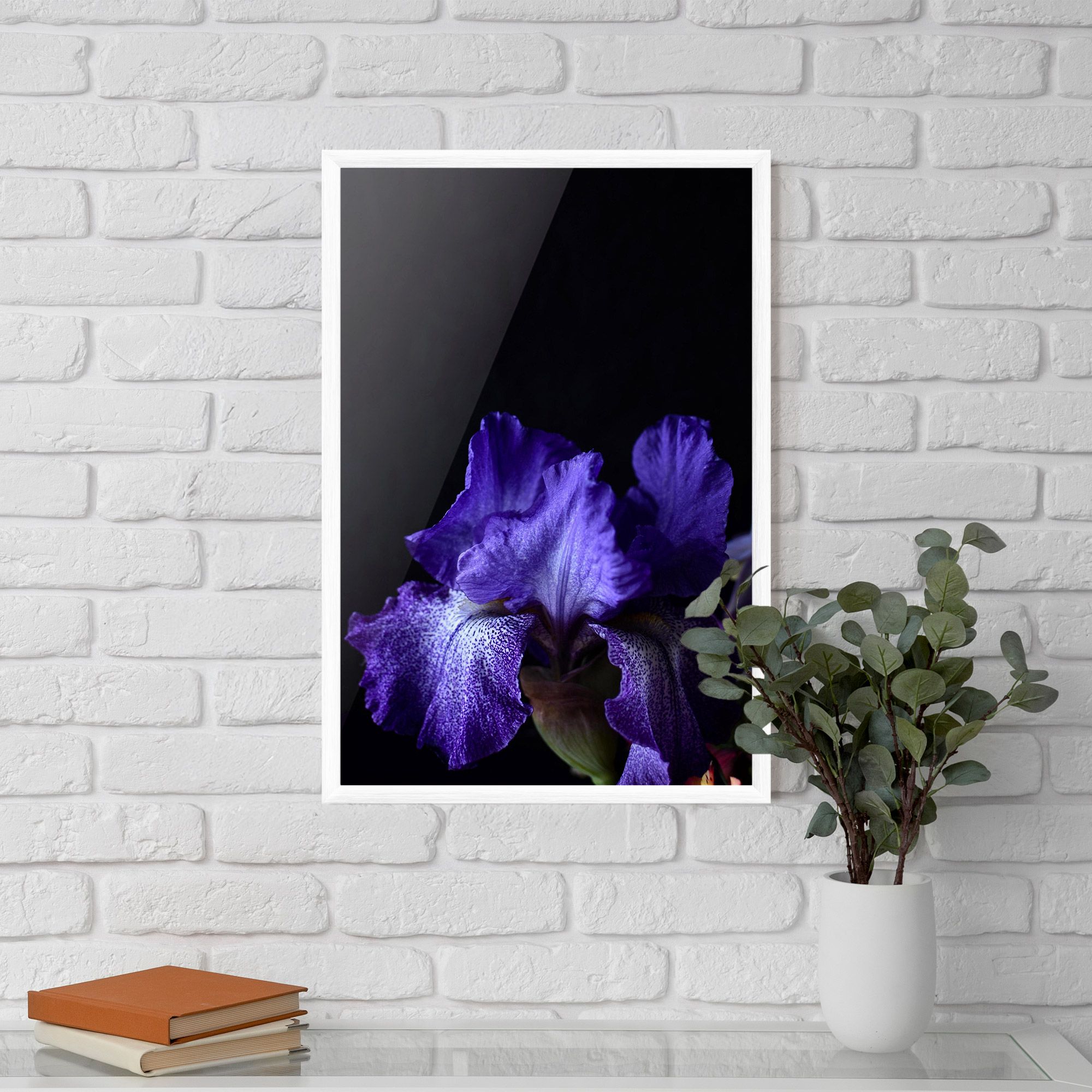 Dark Purple Iris On Black mockup 5