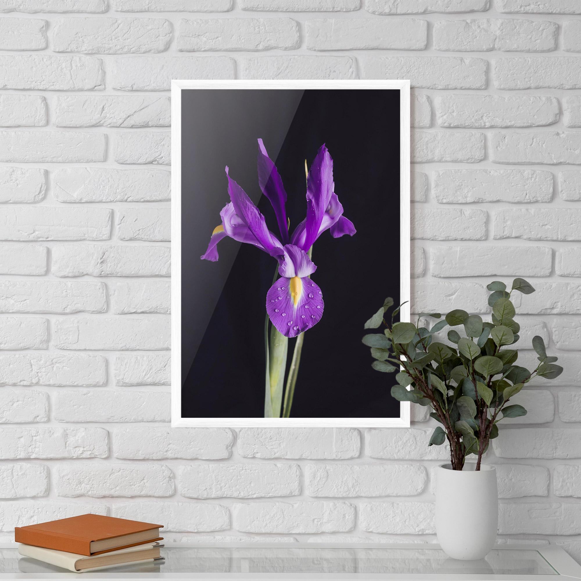 Keretezett Poszter Fresh Purple Iris mockup 5