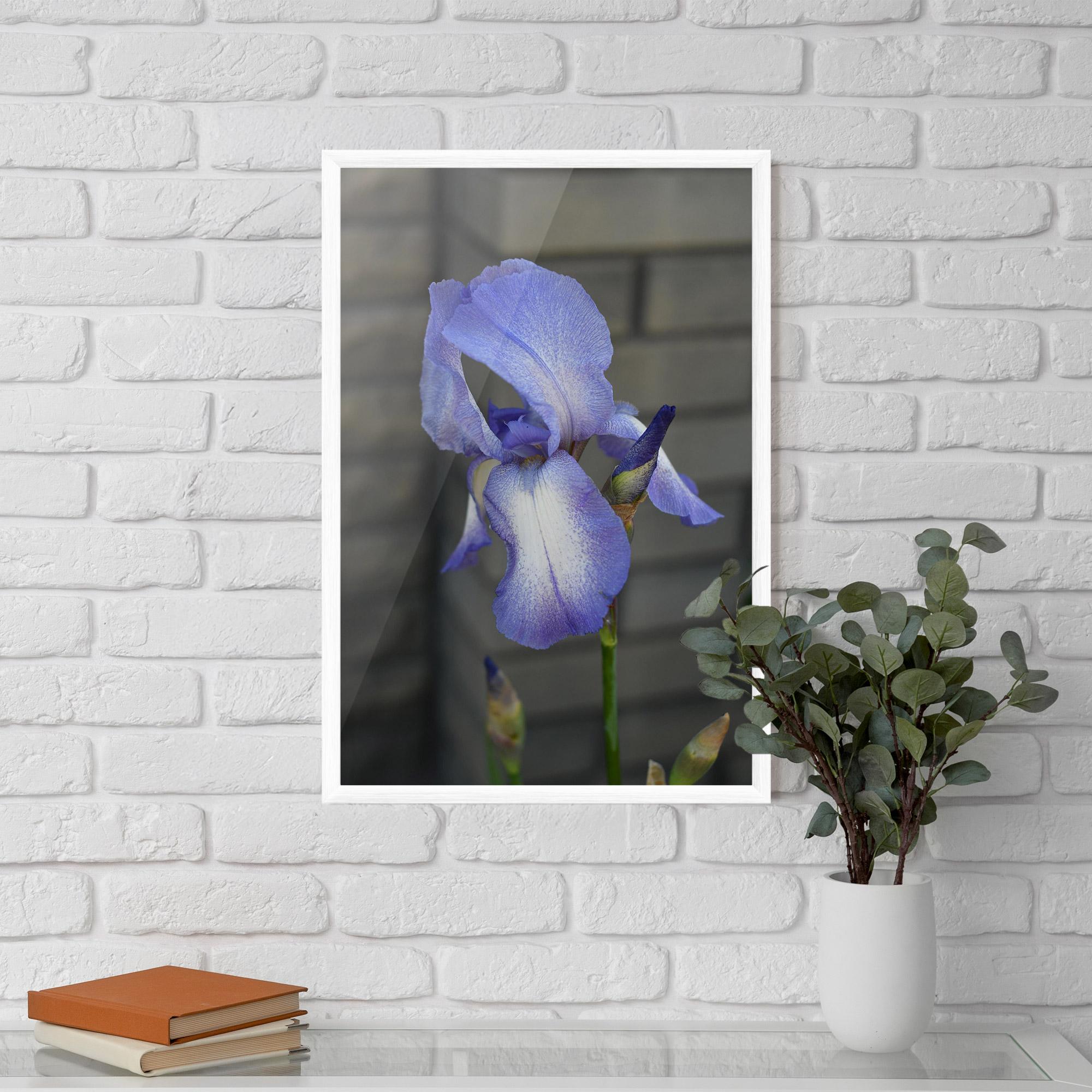 Keretezett Poszter Purple Iris On Gray mockup 5