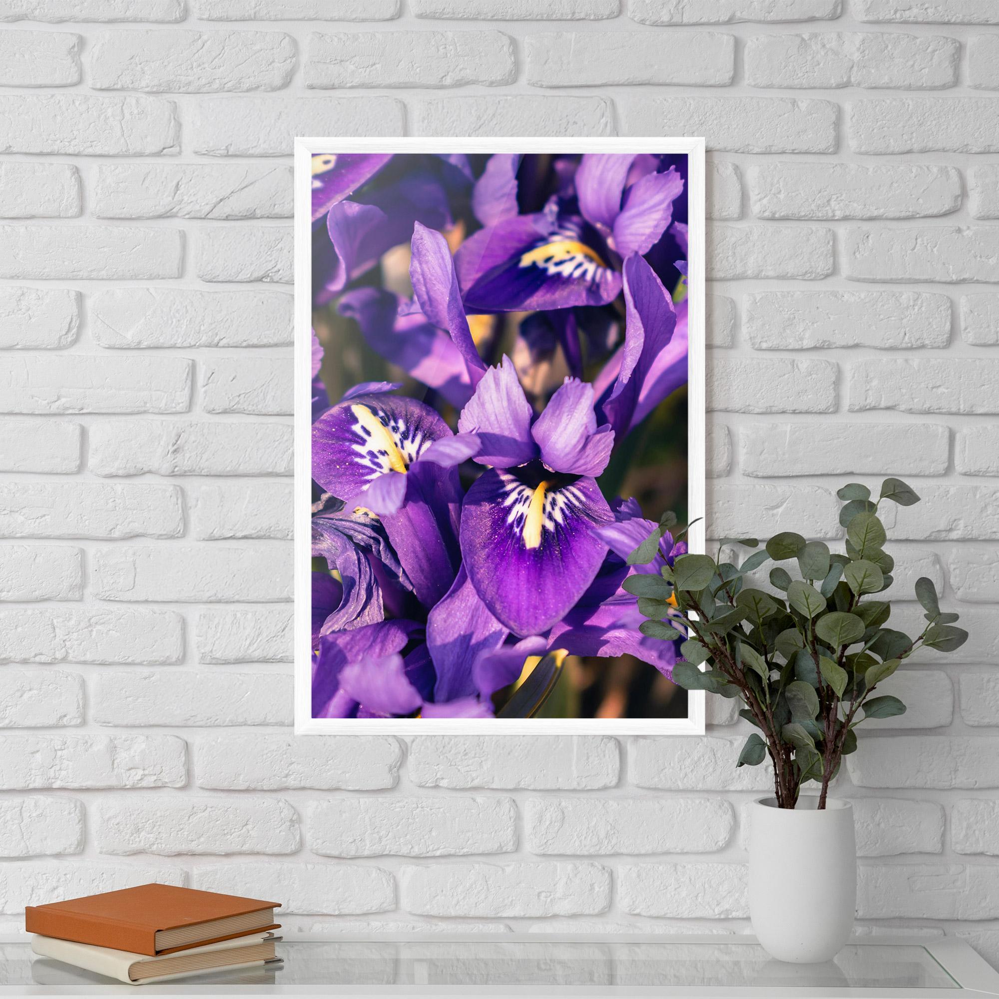 Keretezett Poszter Small Purple Iris mockup 5