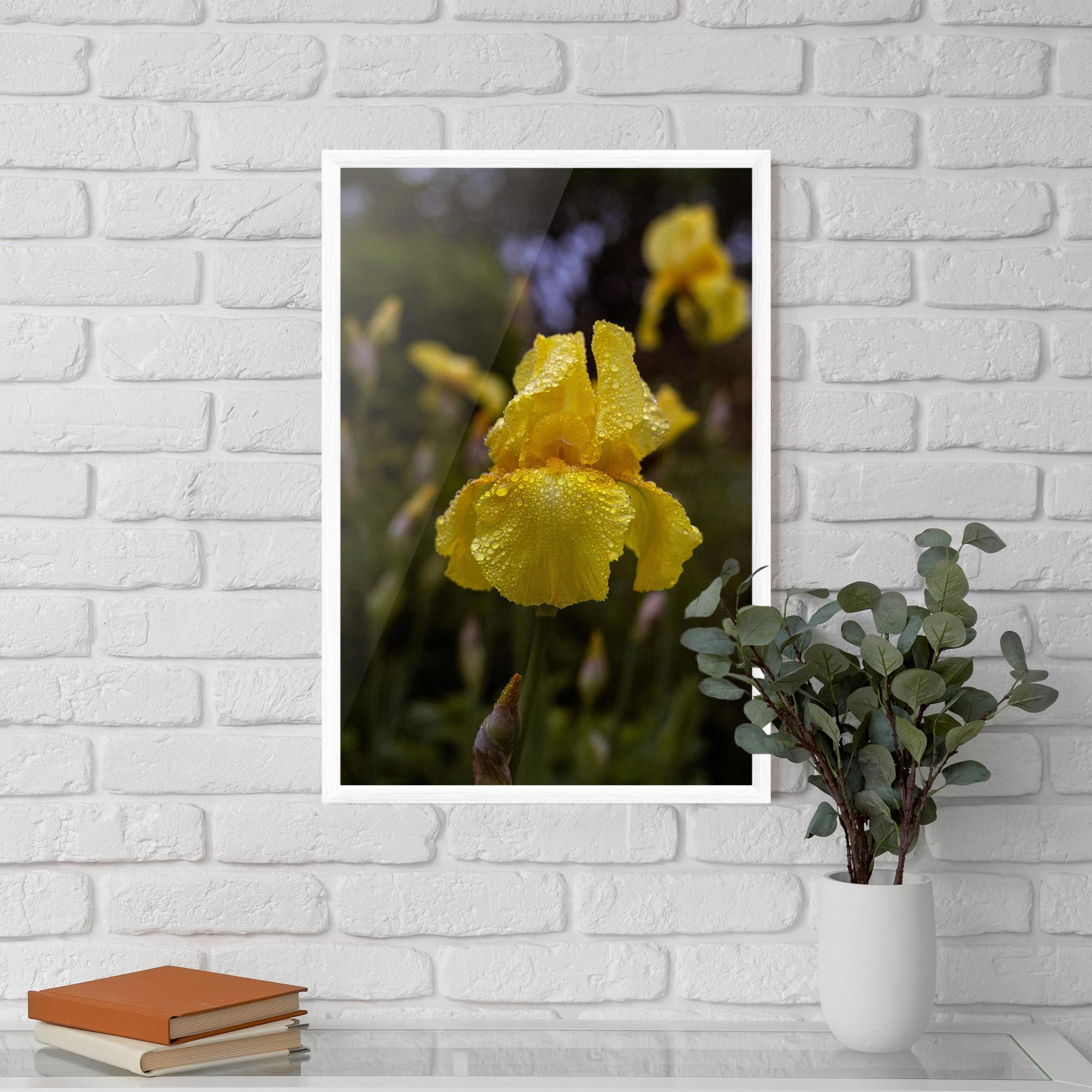Keretezett Poszter Yellow Iris After Rain mockup 5