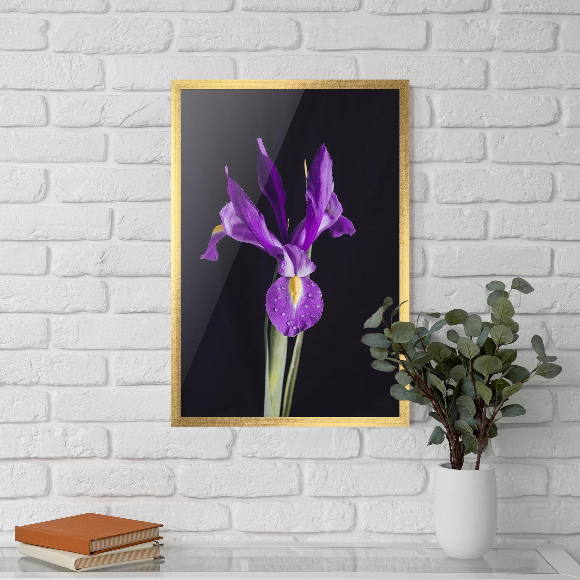 Keretezett Poszter Fresh Purple Iris mockup 5
